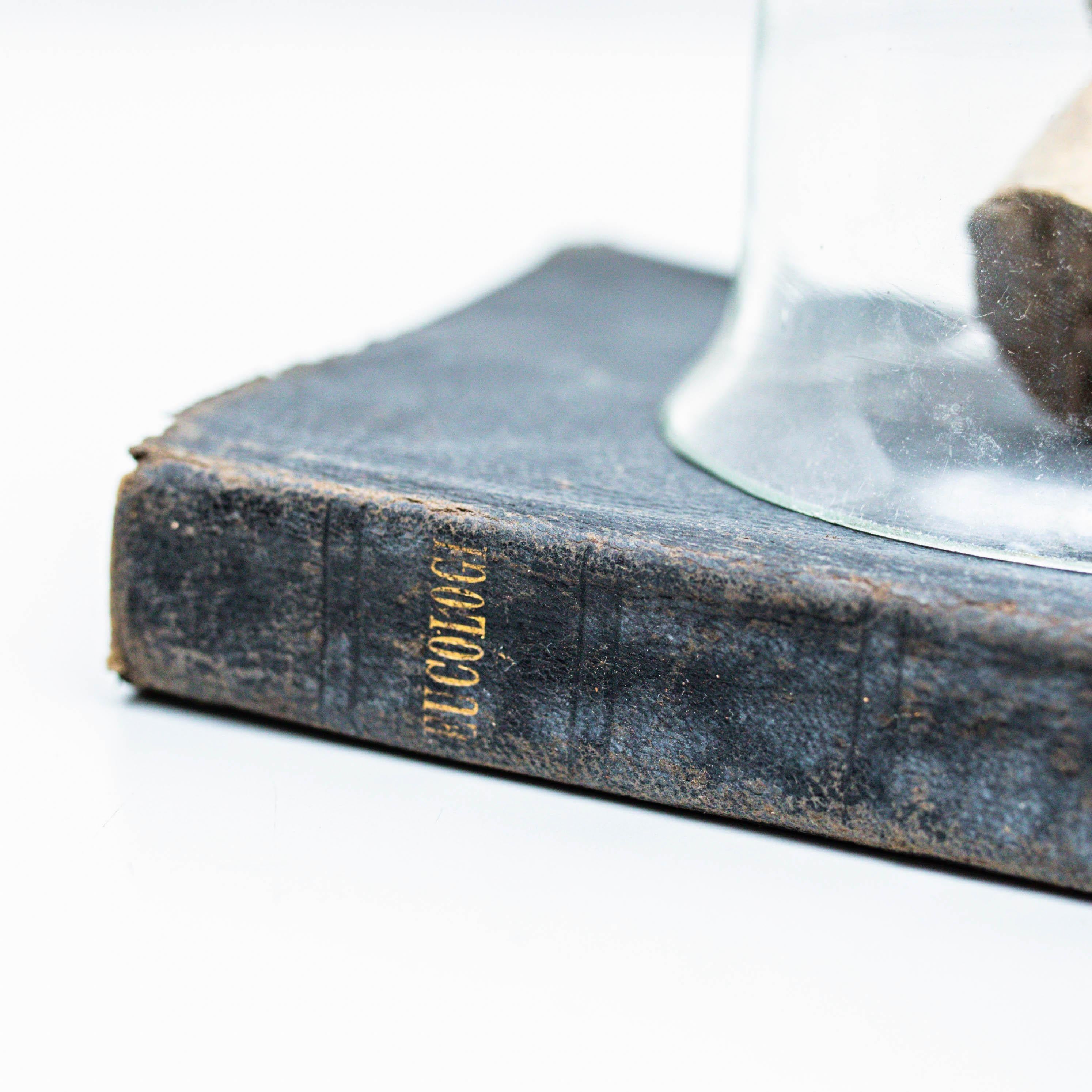 Opera d'arte mistica con vecchio libro e parte della scultura, circa 1990 in vendita 1