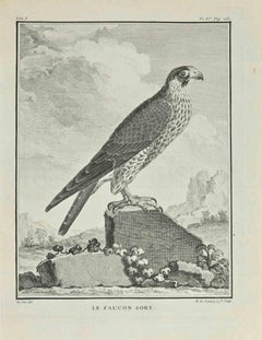 Le Faucon Sort - Gravure par N. De Launnay - 1771