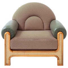 N-Gene Armchair with Cherry Checker Fabric and Olive Leather