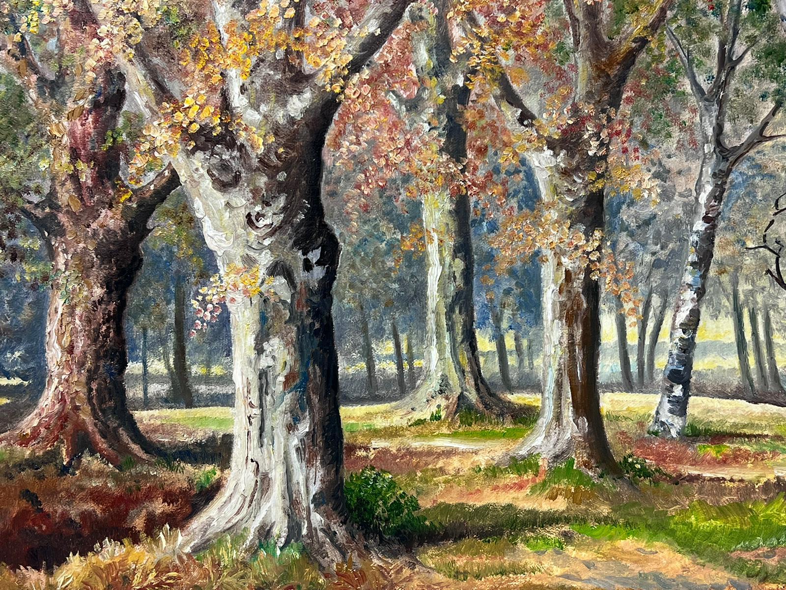 Autumn Forest
N.Hansford, British 1978
signed oil painting on board, framed
inscribed verso
framed: 21 x 25 inches
board: 19 x 23 inches
provenance: private collection, UK
condition: very good and sound condition
