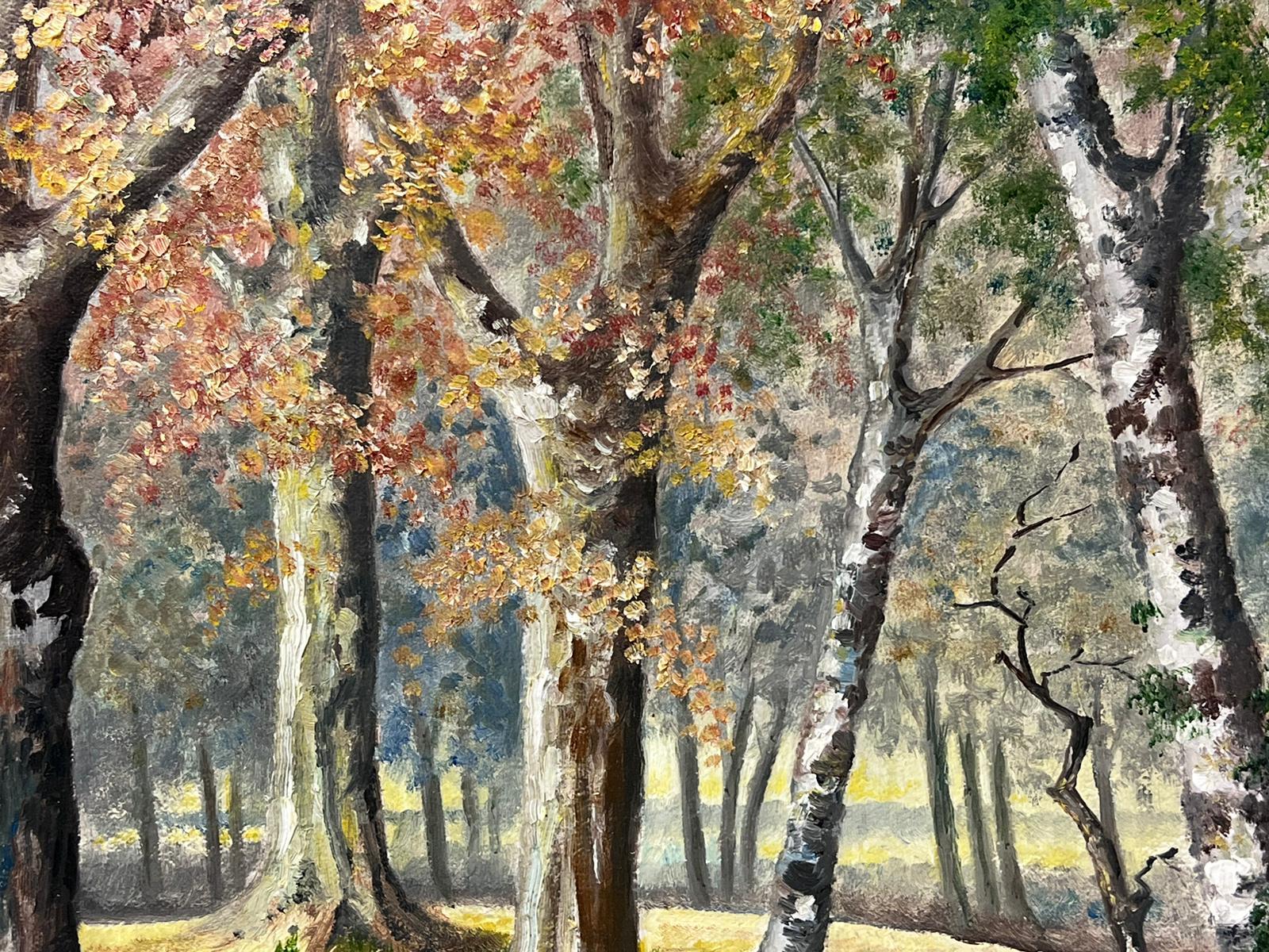 Autumn Forest 1970's English Signed Oil Painting Woodland Glade of Trees For Sale 1