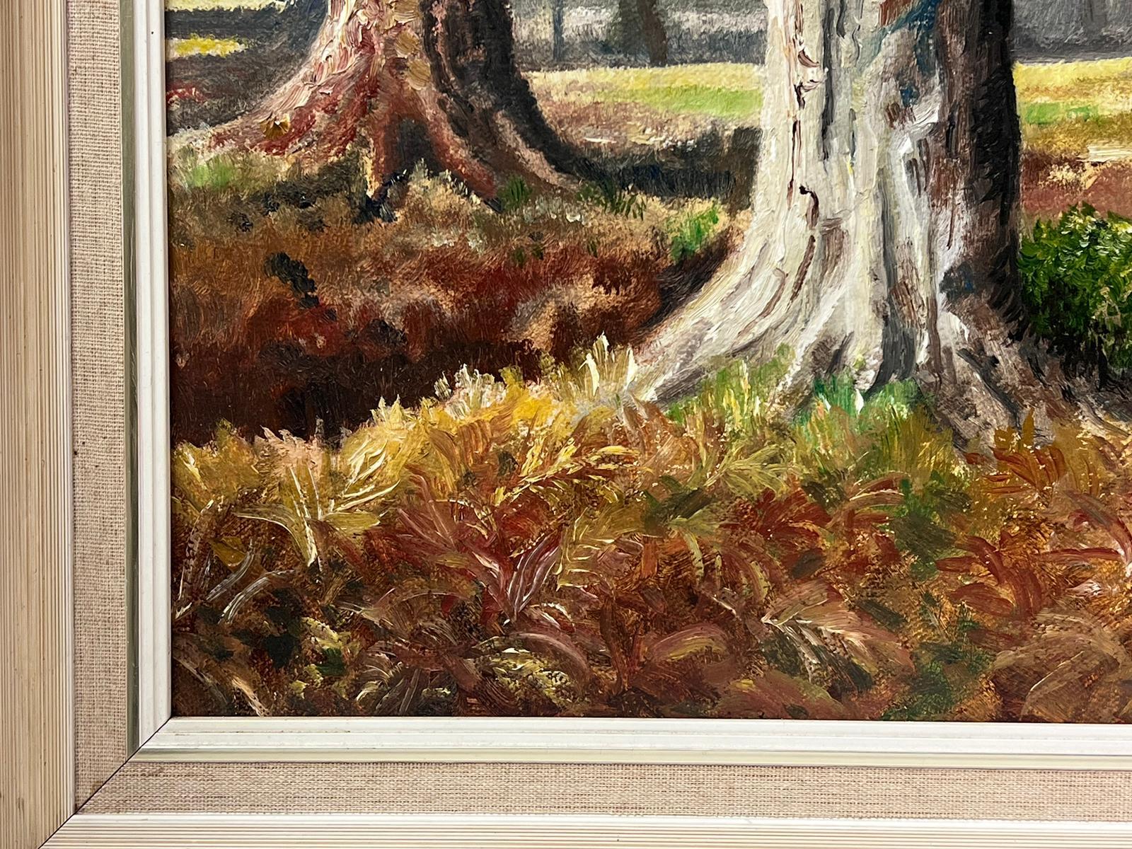 Autumn Forest 1970's English Signed Oil Painting Woodland Glade of Trees For Sale 3