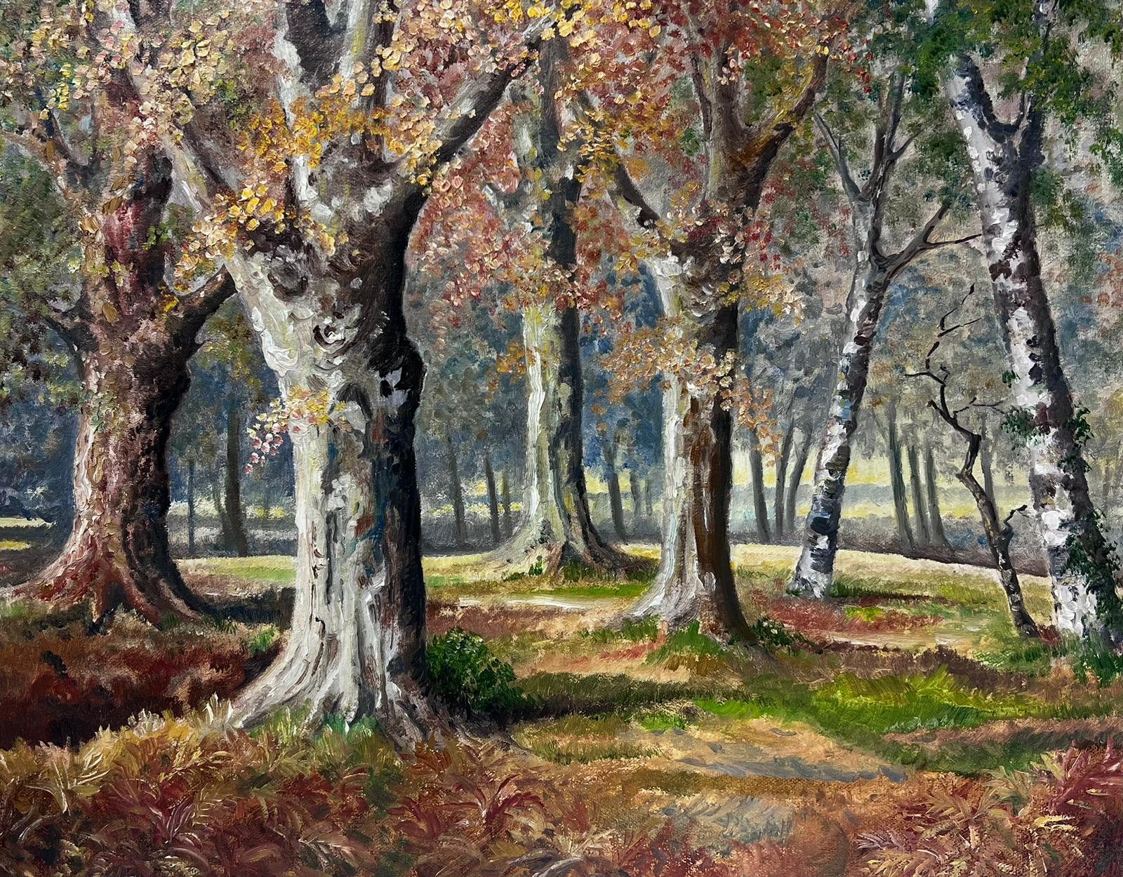 Landscape Painting di N. Hansford - Foresta d'autunno 1970, pittura ad olio firmata in inglese, radura di alberi nel bosco