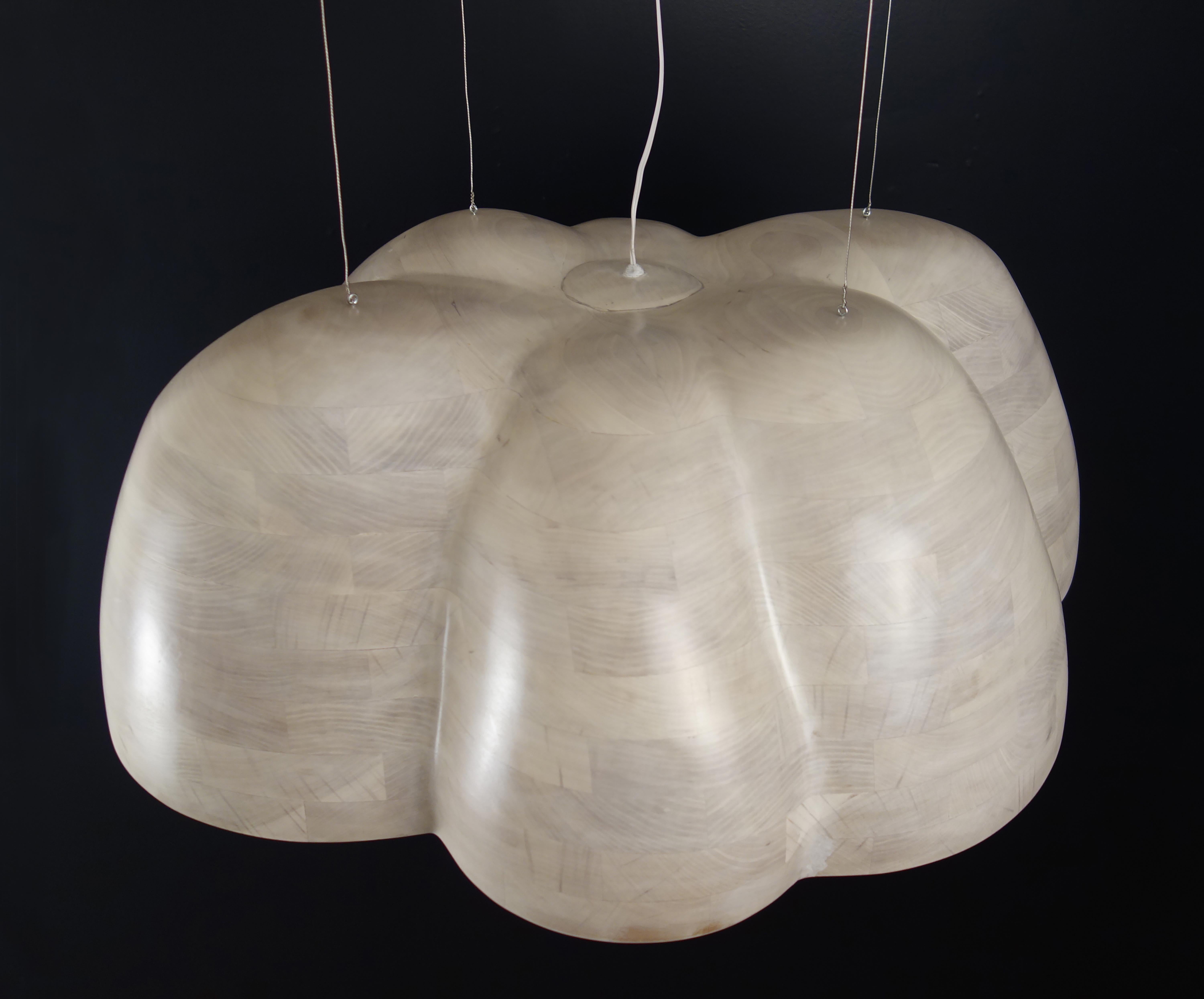 cloud acorn chandelier