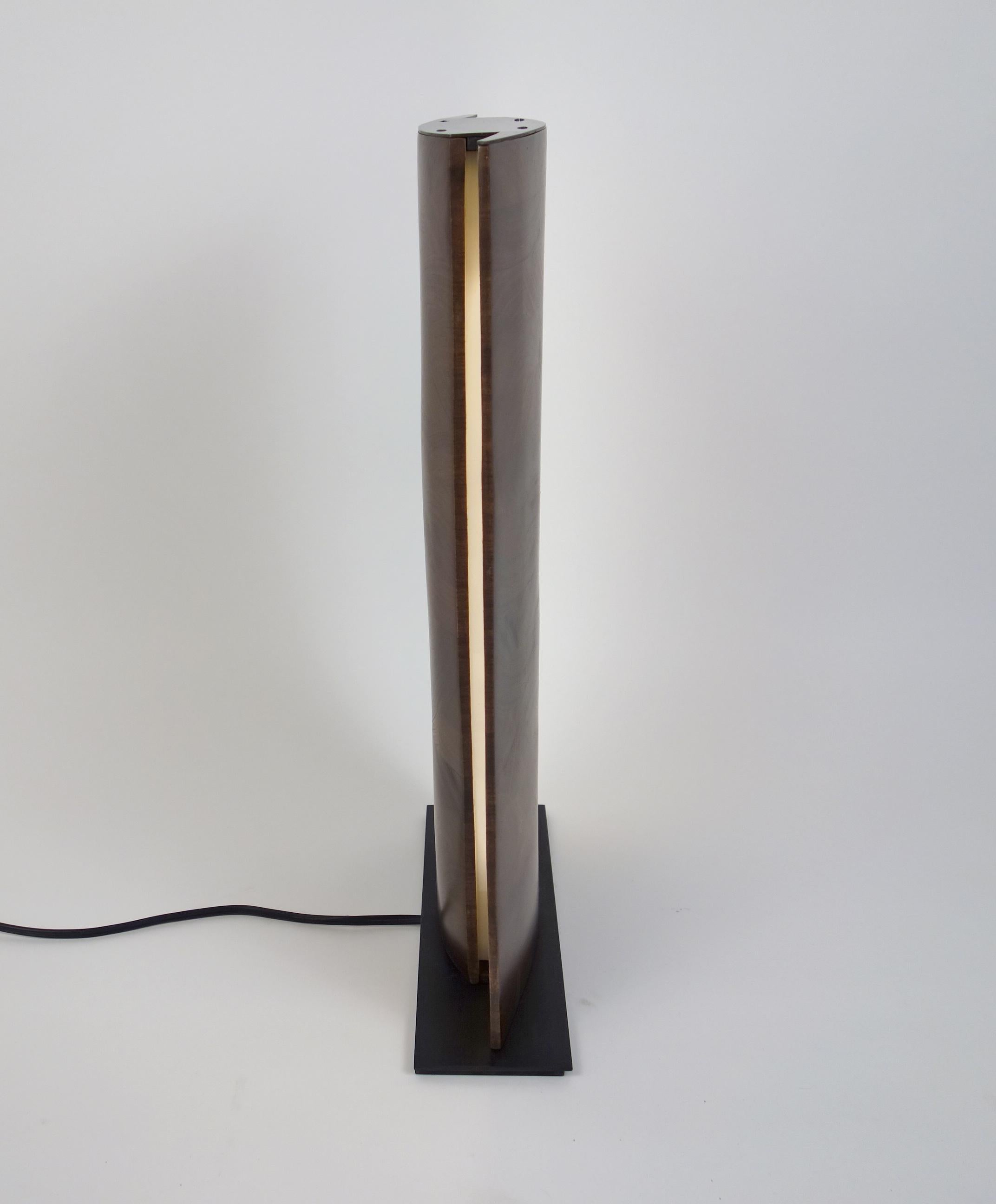 American N2 Panel Lamp by Aaron Scott For Sale