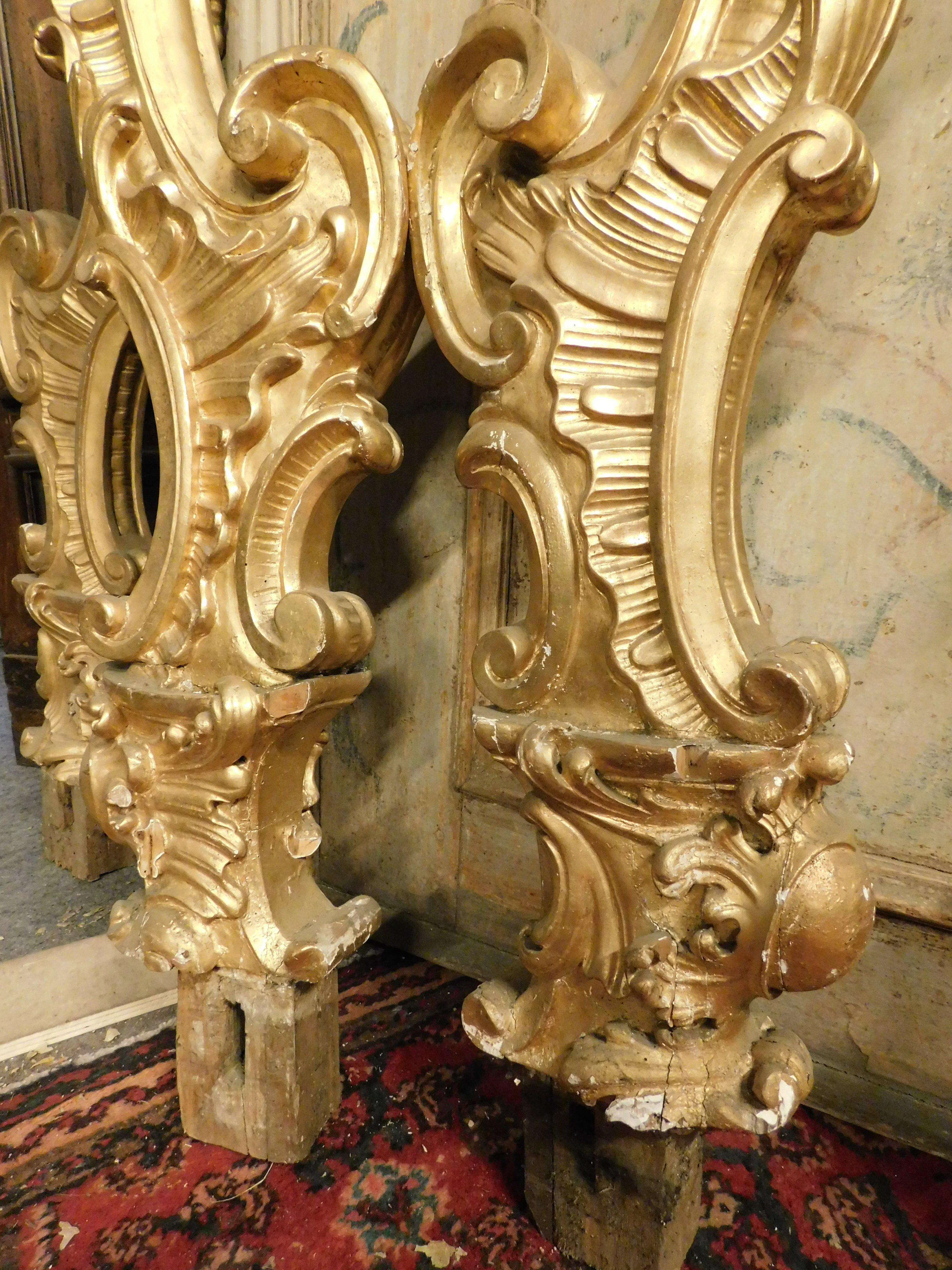 Poplar n.4 pilaster columns with cherubs, carved and gilded, Italy