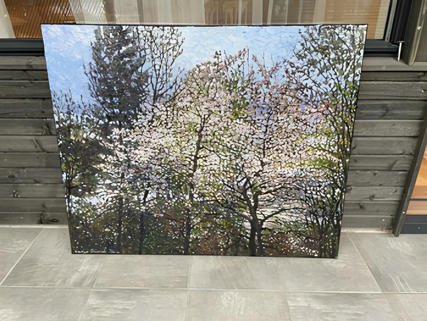 In questa tela ho dato sfogo al mio amore per la rinascita della natura durante la primavera. Le pennellate danzano con la vita, catturando l'effimero bagliore del crepuscolo sugli alberi in fiore. Attraverso il vigore espressionista e la