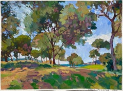 Alberi di Santa Ponsa