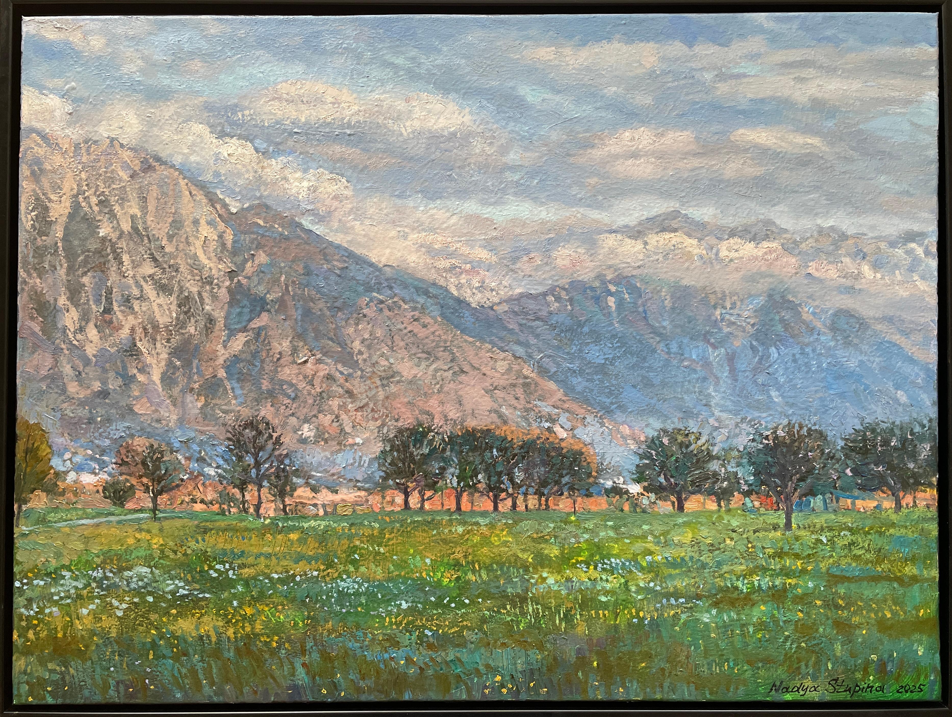 Alpine Valley Oil Painting, Impressionistic Landscape, 60x80 cm Framed