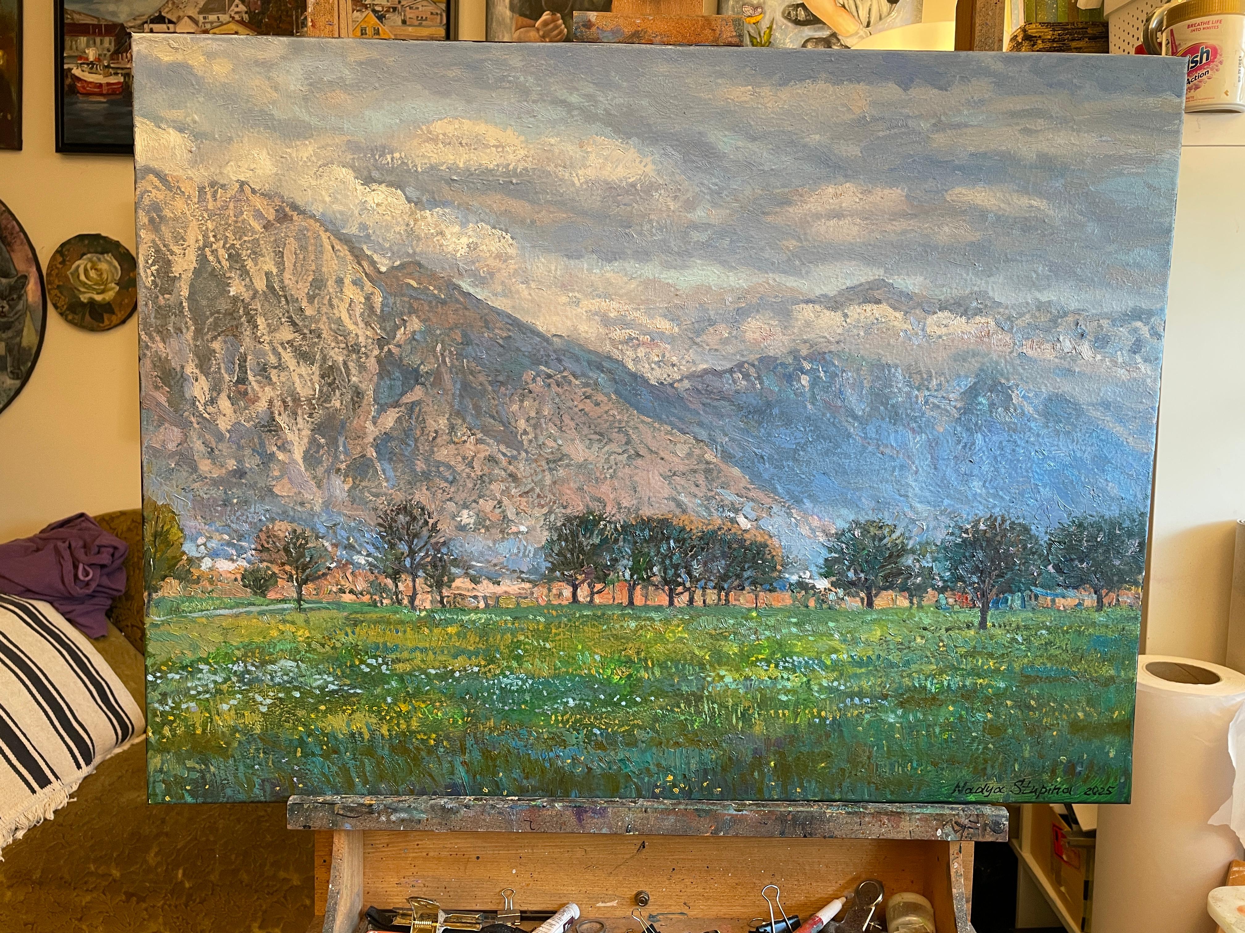 Original impressionistische Landschaft des Alpine-Tals. Gerahmt. Ölgemälde. (Impressionismus), Painting, von Nadezda Stupina