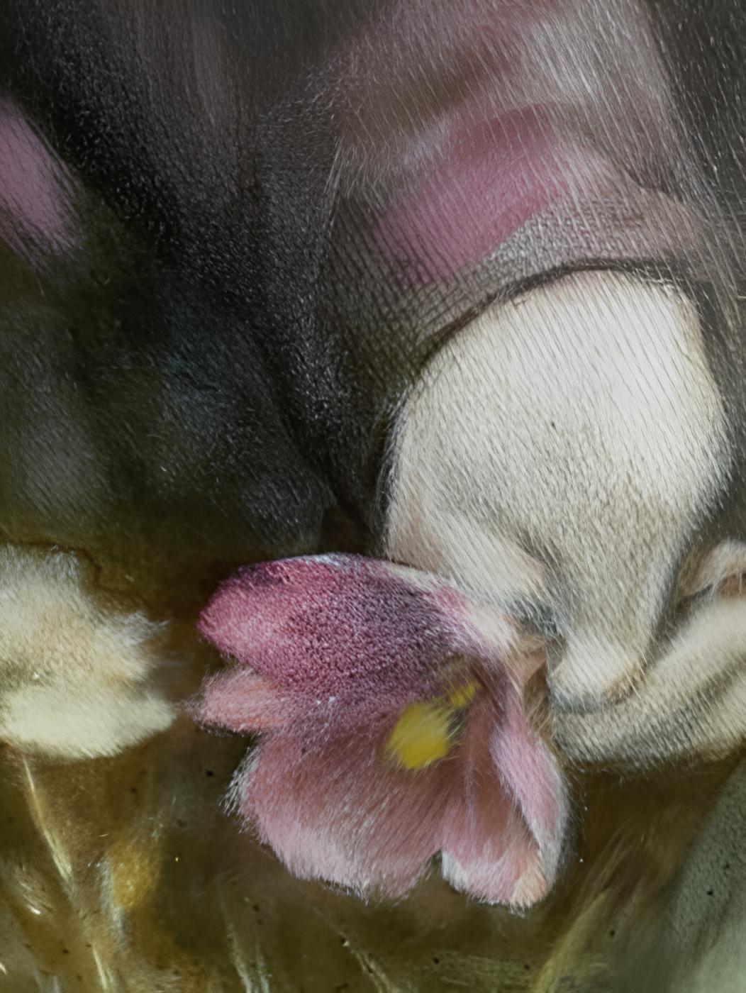 Molto spesso l'artista trae ispirazione dall'infanzia, perché nell'infanzia si gettano le basi della vita e delle relazioni. Il rapporto tra gemelli è qualcosa di speciale! Comprensione e sentimenti a volte senza parole, la relazione e la dipendenza