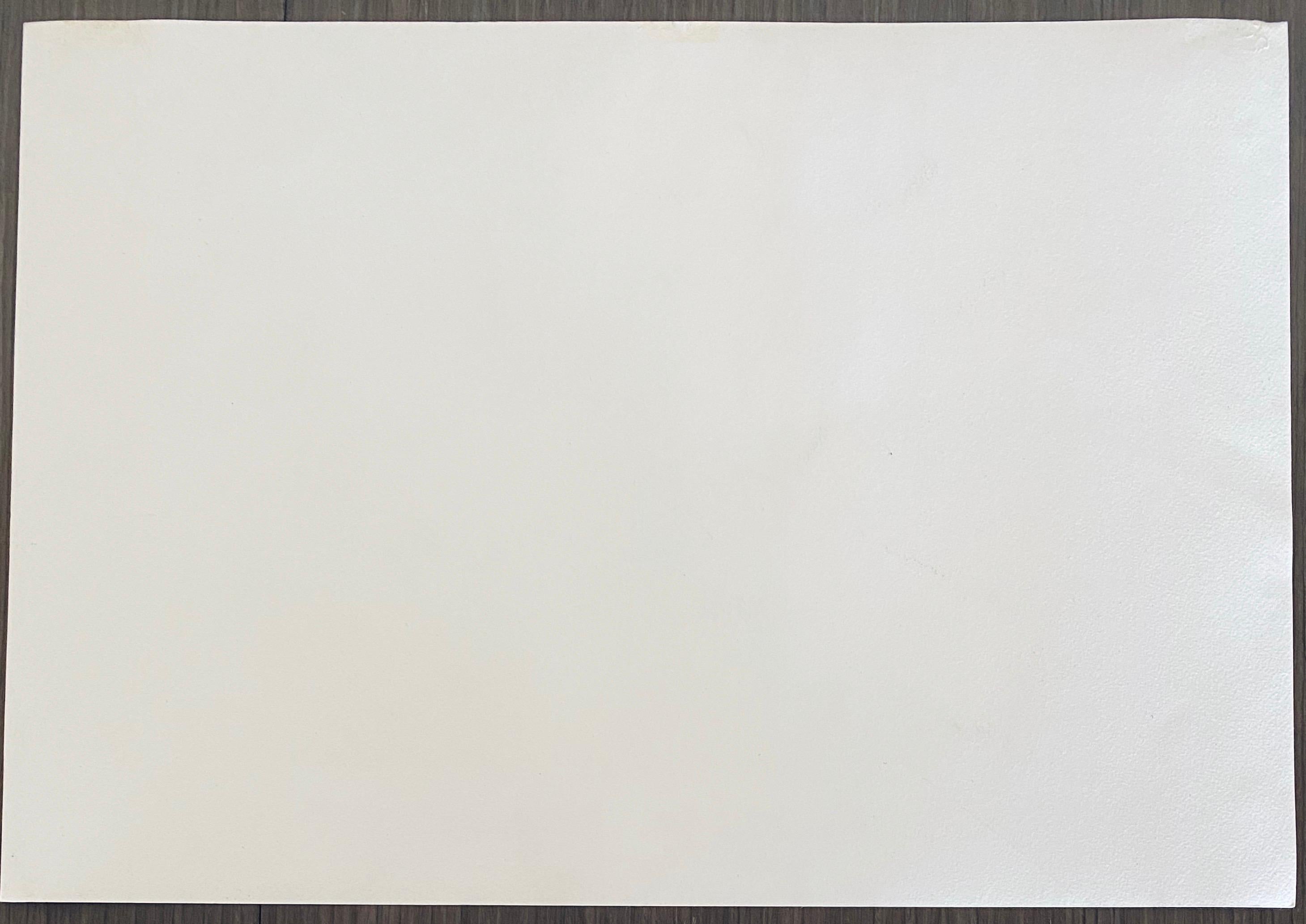 Litografia astratta surrealista israeliana Naftali Bezem in vendita 6