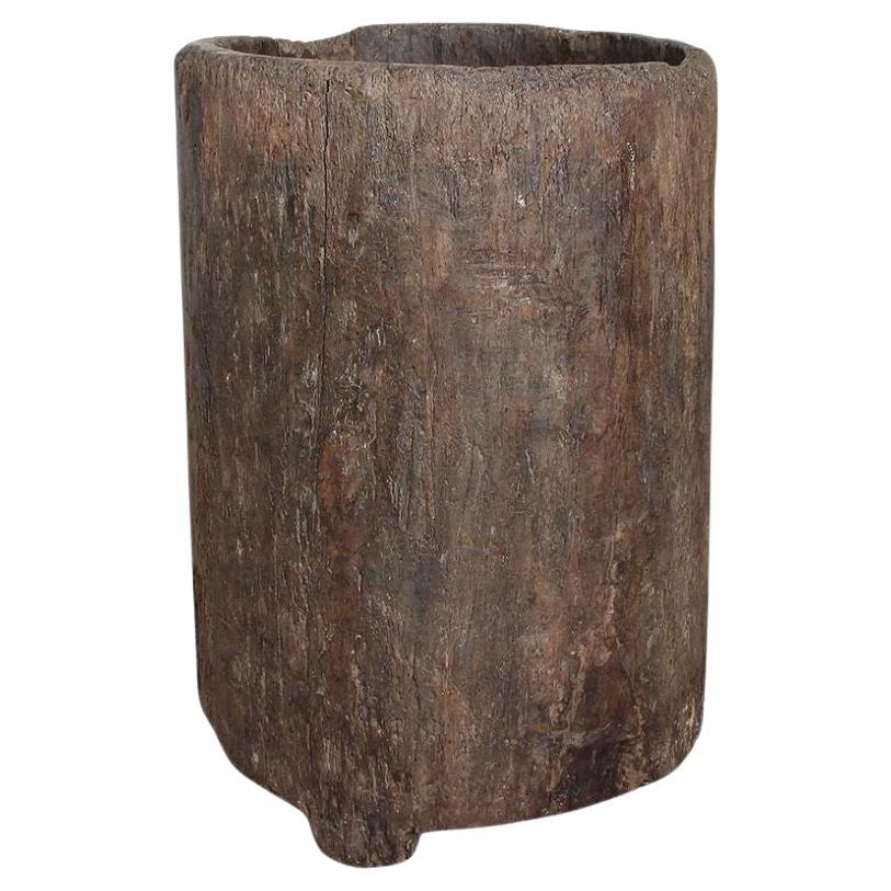 Nagaland Wood Trunk Planter, India 1900s