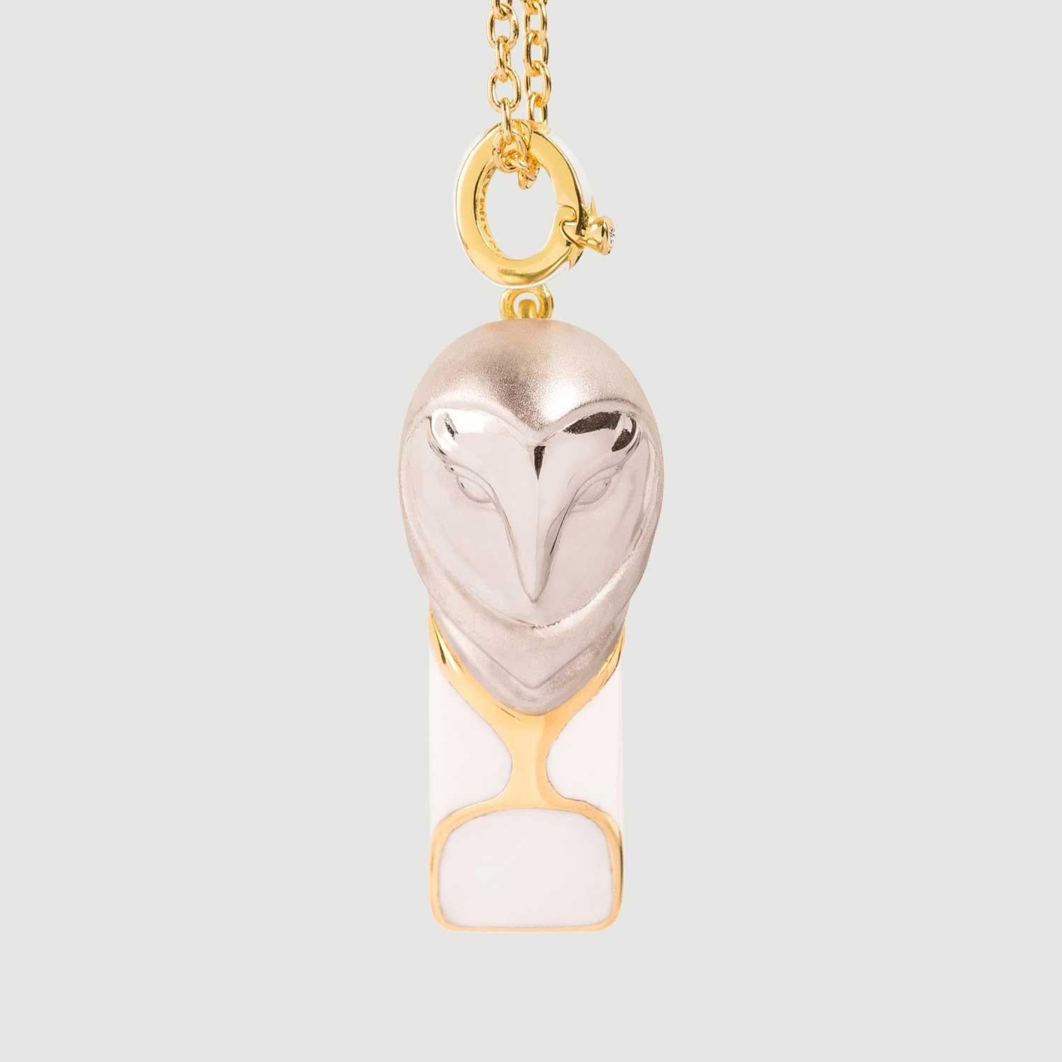 Owl symbolism and meanings include wisdom, intuition, supernatural power, independent thinking.

Owls have had different meanings in various cultures throughout history. 

The Greek Goddess Athena, who was the virgin goddess of wisdom, was always