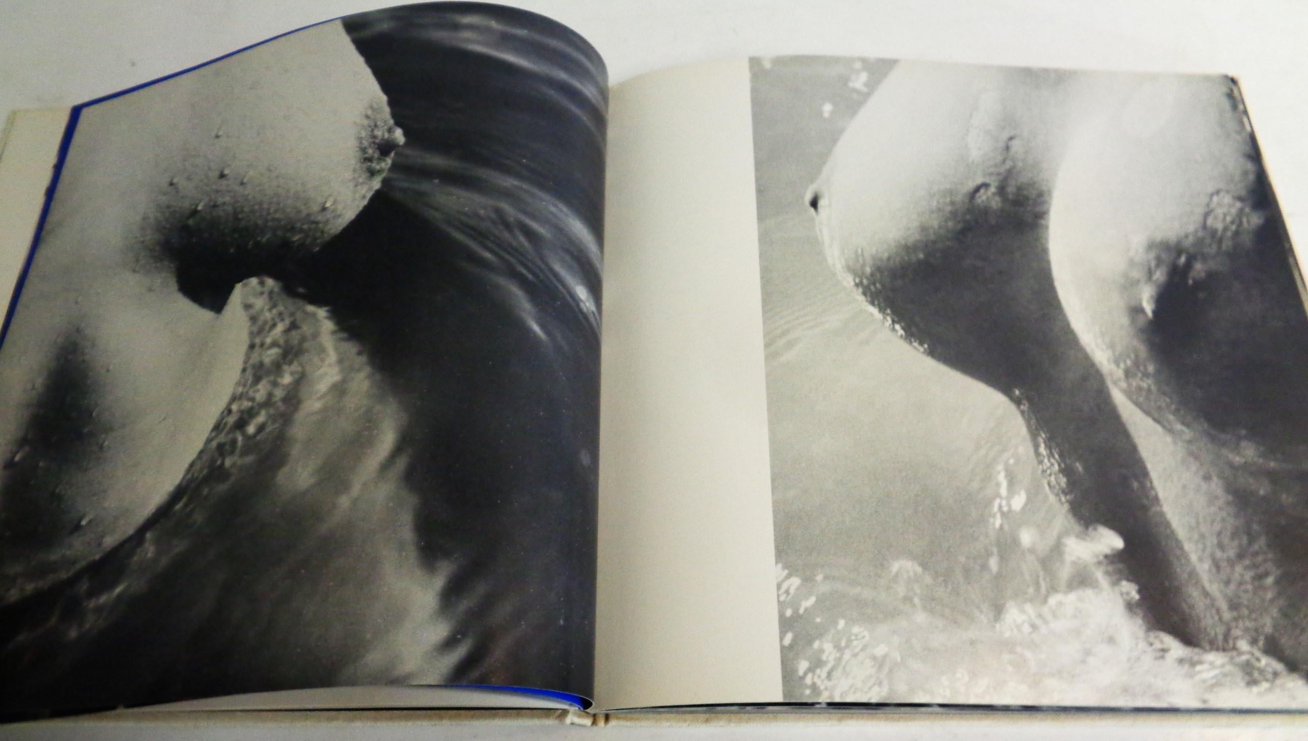 naissances d' ahprodite - LUCIEN CLERGUE - 1966 Brussels & Brussels  For Sale 7