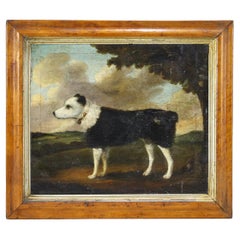 Naive 19th Century Oil on Canvas of a Boarder Collie Sheepdog