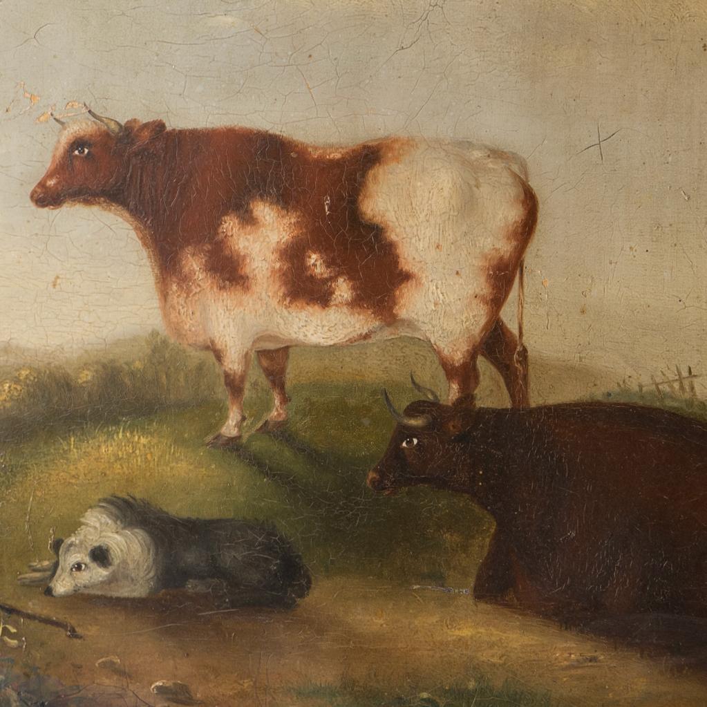 European Naive Folk Art Depiction of Cattle, Sheep & Sheepdog, Antique Oil Painting