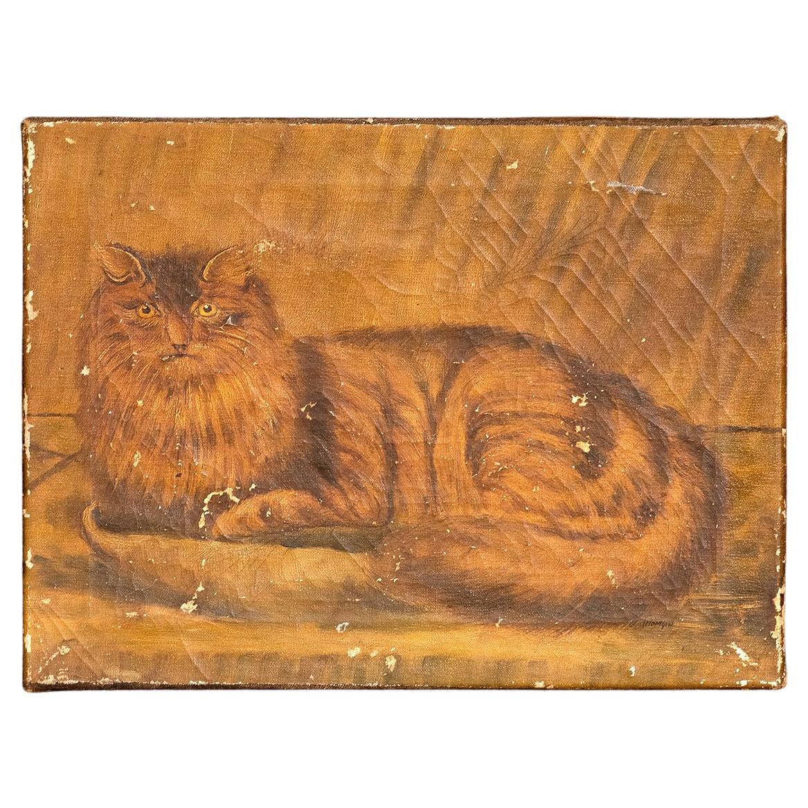 Naive Folk Art Study of a Cat, Oil on Canvas, 19th Century Antique Painting
