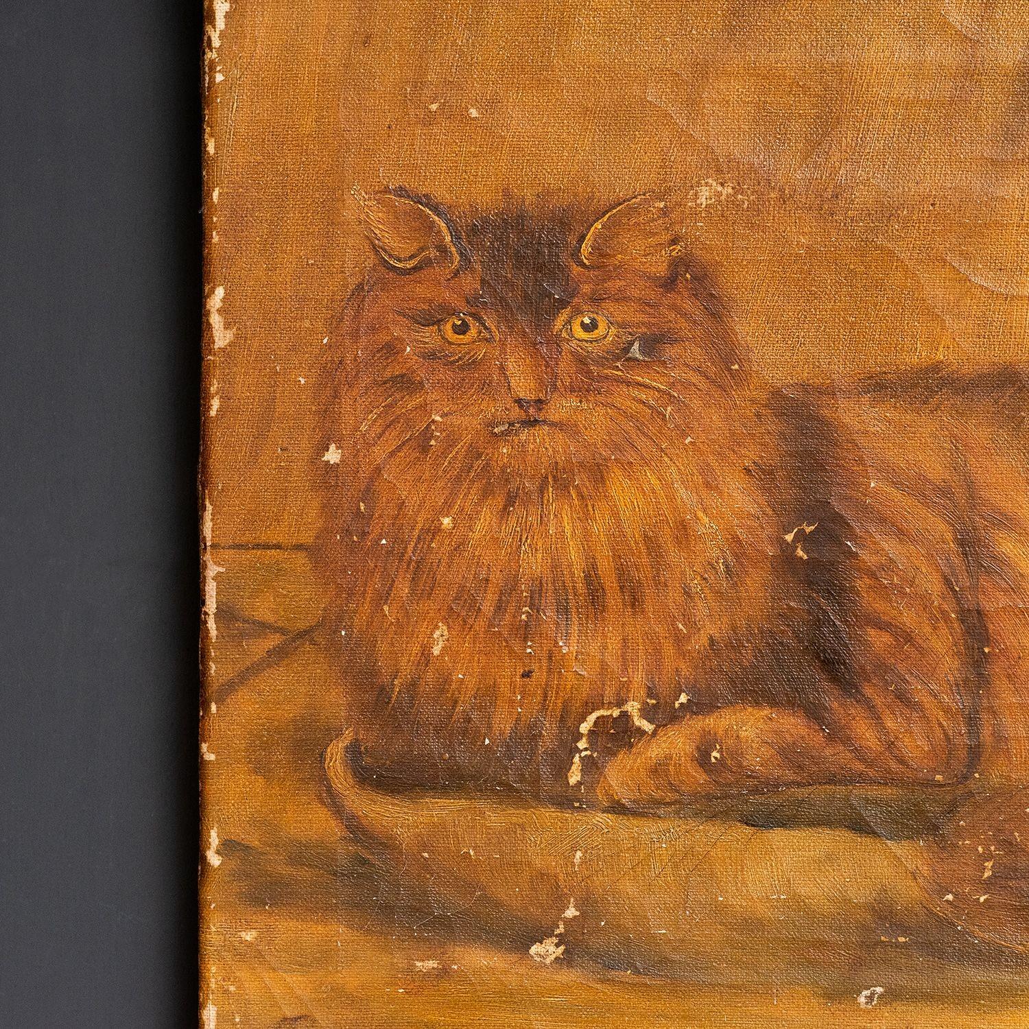 Naive Volkskunststudie einer Katze, Öl auf Leinwand, antikes Gemälde des 19. Jahrhunderts im Zustand „Starke Gebrauchsspuren“ im Angebot in Bristol, GB