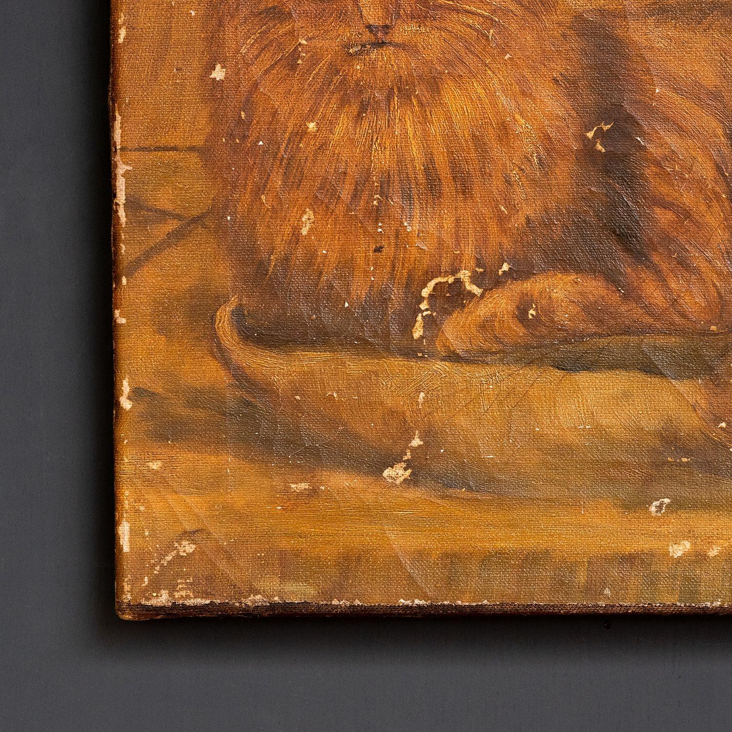 Naive Volkskunststudie einer Katze, Öl auf Leinwand, antikes Gemälde des 19. Jahrhunderts im Angebot 2