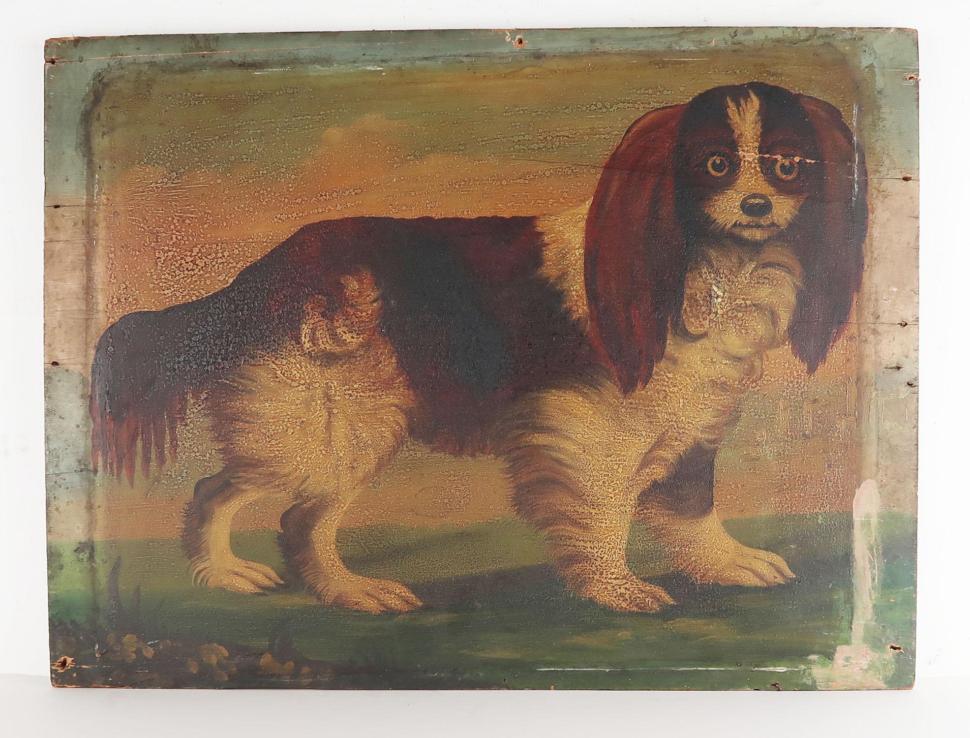 Wonderful naive painting of a King Charles spaniel

Great piece of Folk Art.

Oil on a pine panel

Unframed

Artist unknown

There are some condition issues namely some paint loss bottom right and nail holes round the