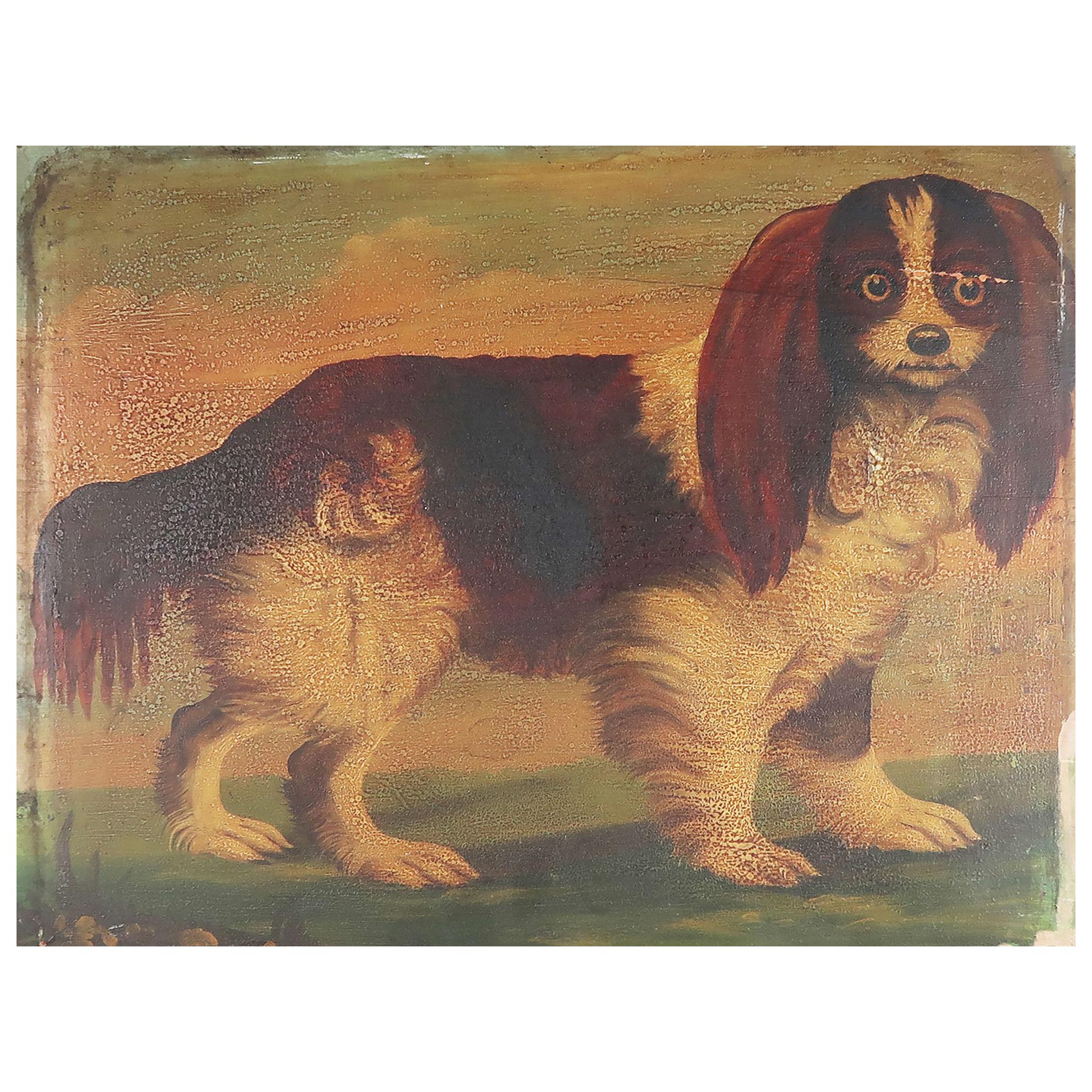 Naive Painting of a King Charles Spaniel, 19th Century