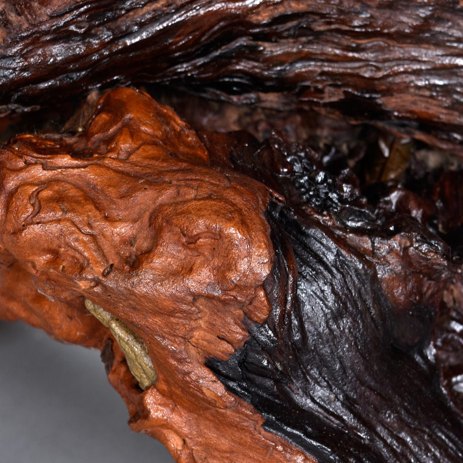 Nakashima Style Live Edge Redwood Burl Root Stump Slab Coffee Table For Sale 8