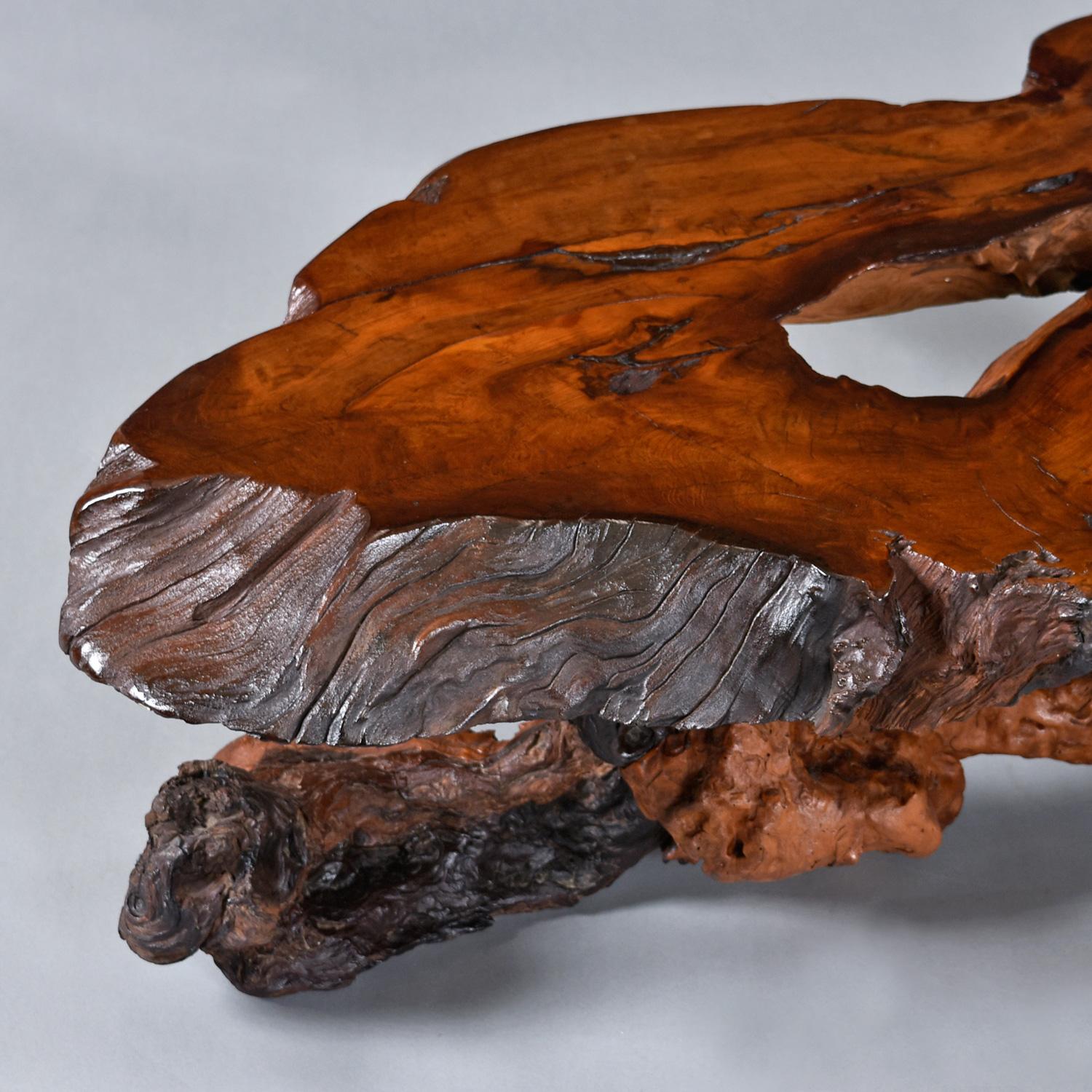 Nakashima Style Live Edge Redwood Burl Root Stump Slab Coffee Table For Sale 4