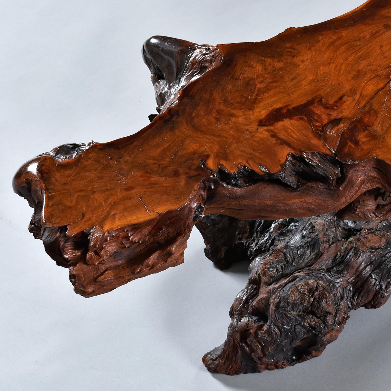 Nakashima Style Live Edge Redwood Burl Root Stump Slab Coffee Table For Sale 5
