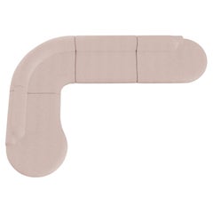 Naked Curved Sectional Sofa, 4 Stück mit Buchenholz-Asche-056-1 und Vigo Blossom