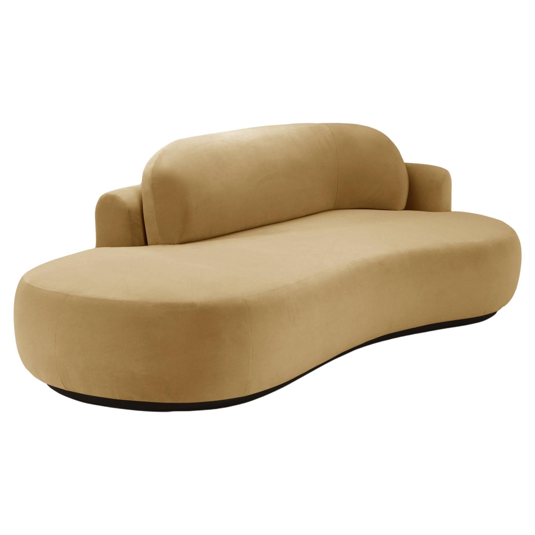 Canapé simple à courbes nus avec frêne de hêtre-056-5 et rideau Vigo