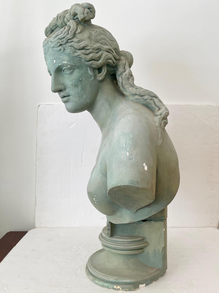 Naked Plaster Bust of a Woman For Sale at 1stDibs