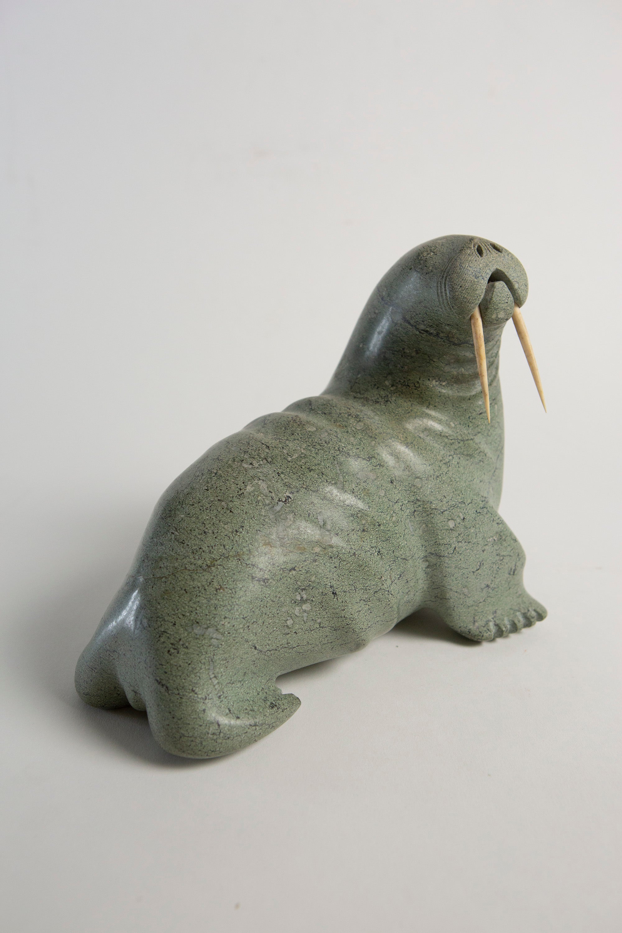 clay walrus