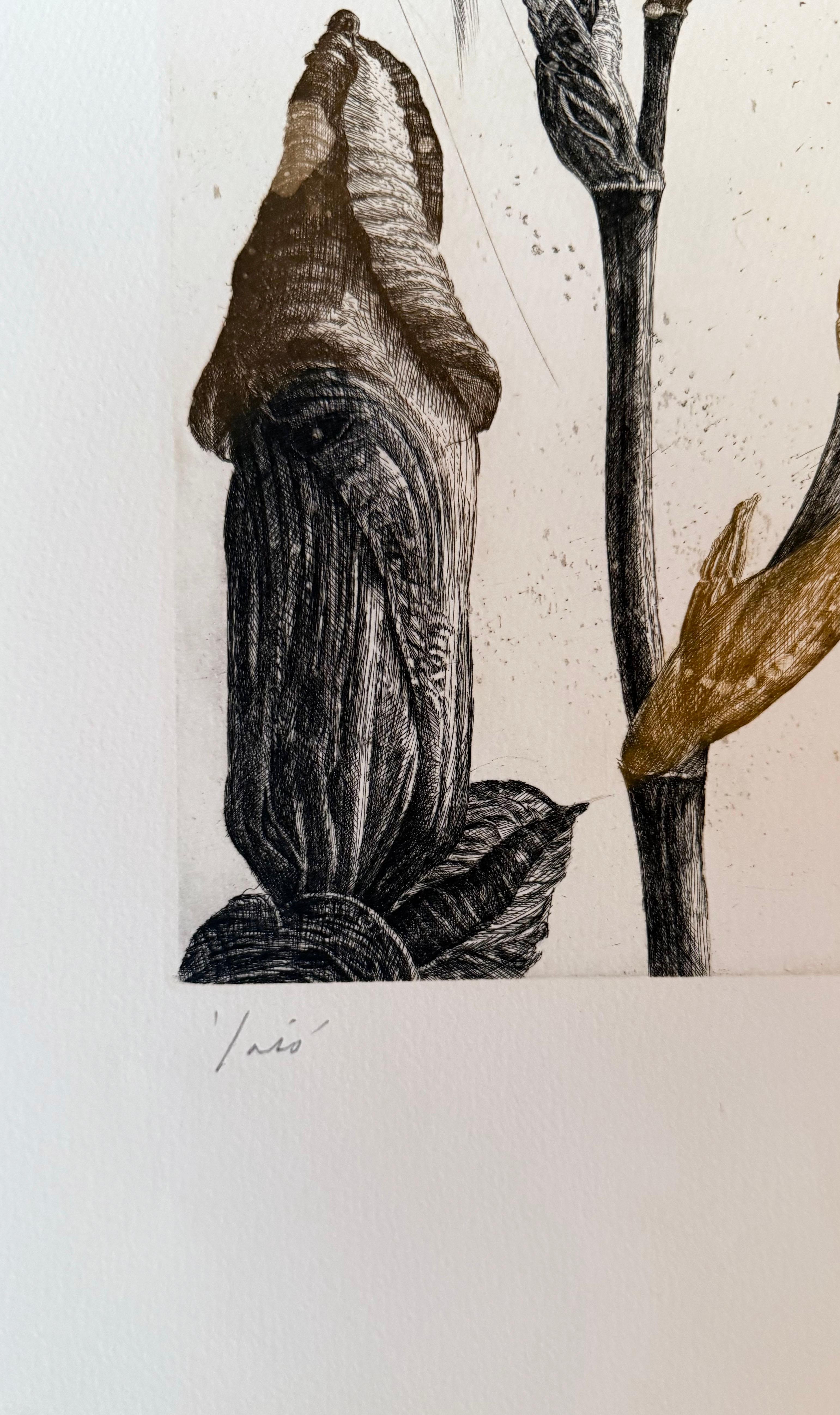 Iris - Print Contemporaneo di Nall