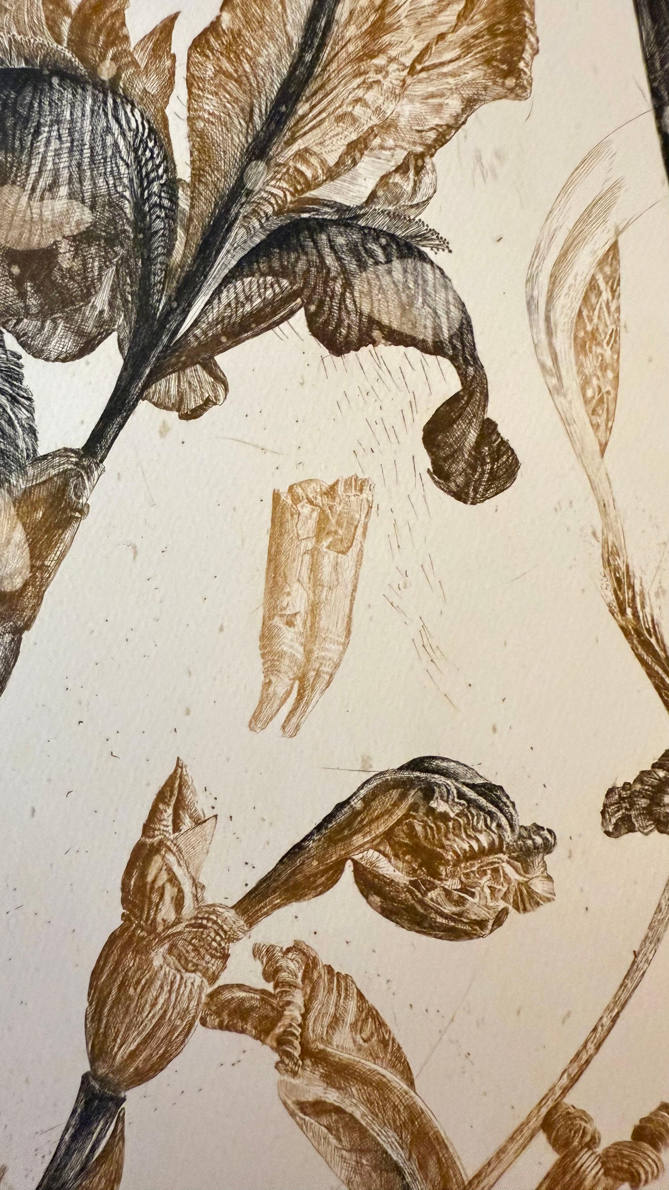 Edizione firmata 74/ 99
Incisione su carta Arches
Dimensioni dell'immagine 19 x 11 1 pollice
Formato carta 26 x 19 1/2 pollici.
Opacizzato 29,5 x 21 pollici