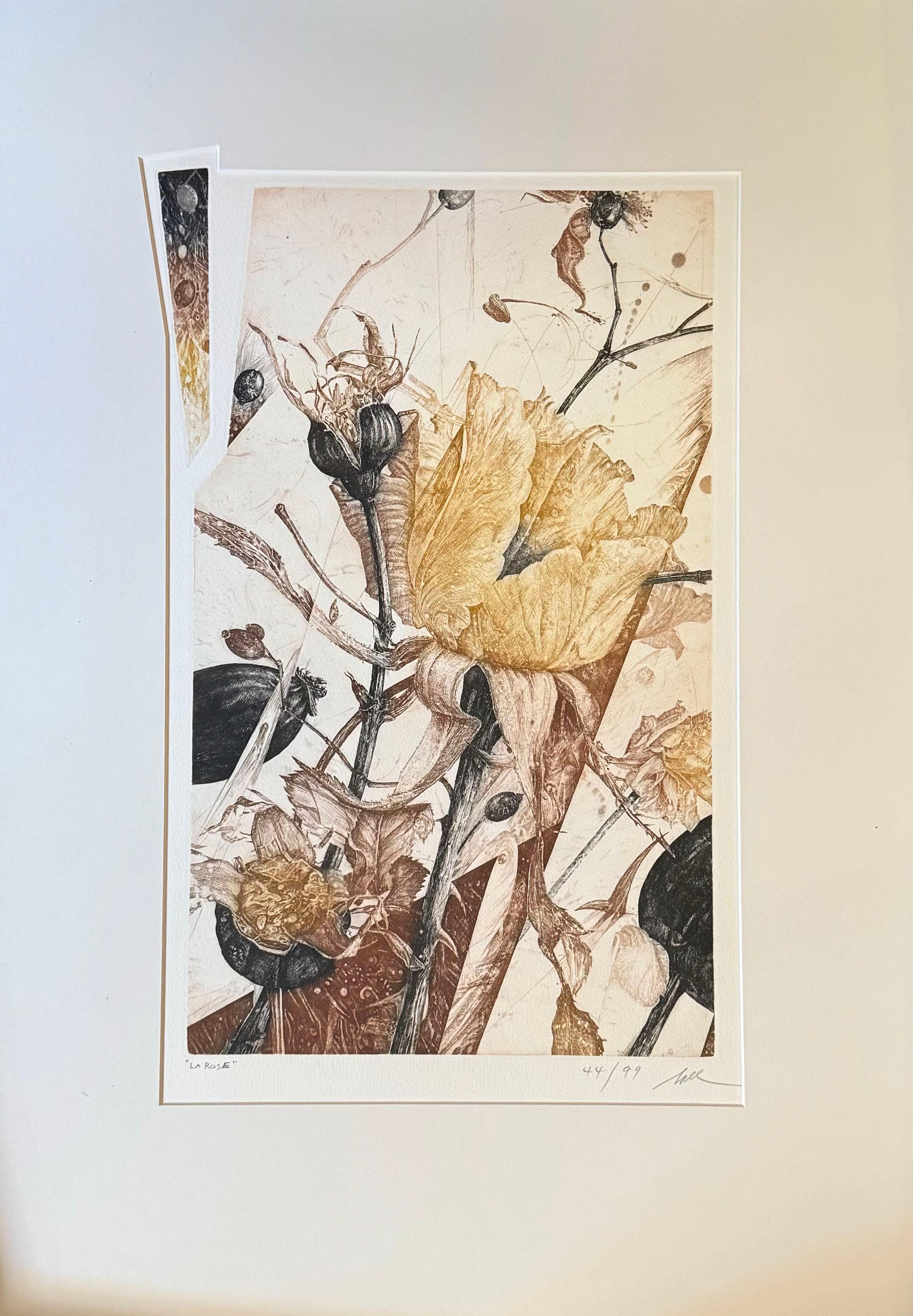 Still-Life Print Nall - La Rose