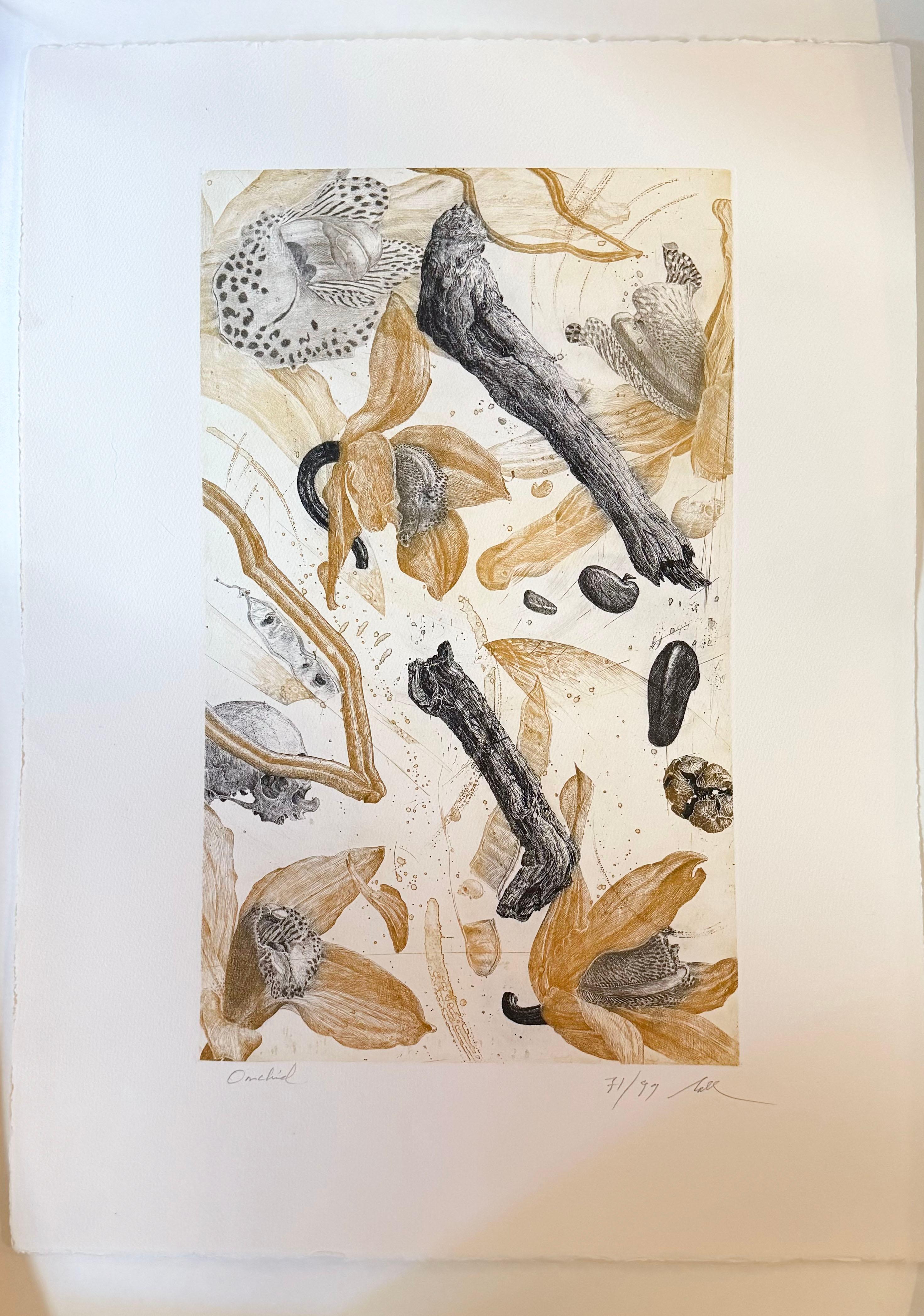 Orchidea - Print di Nall