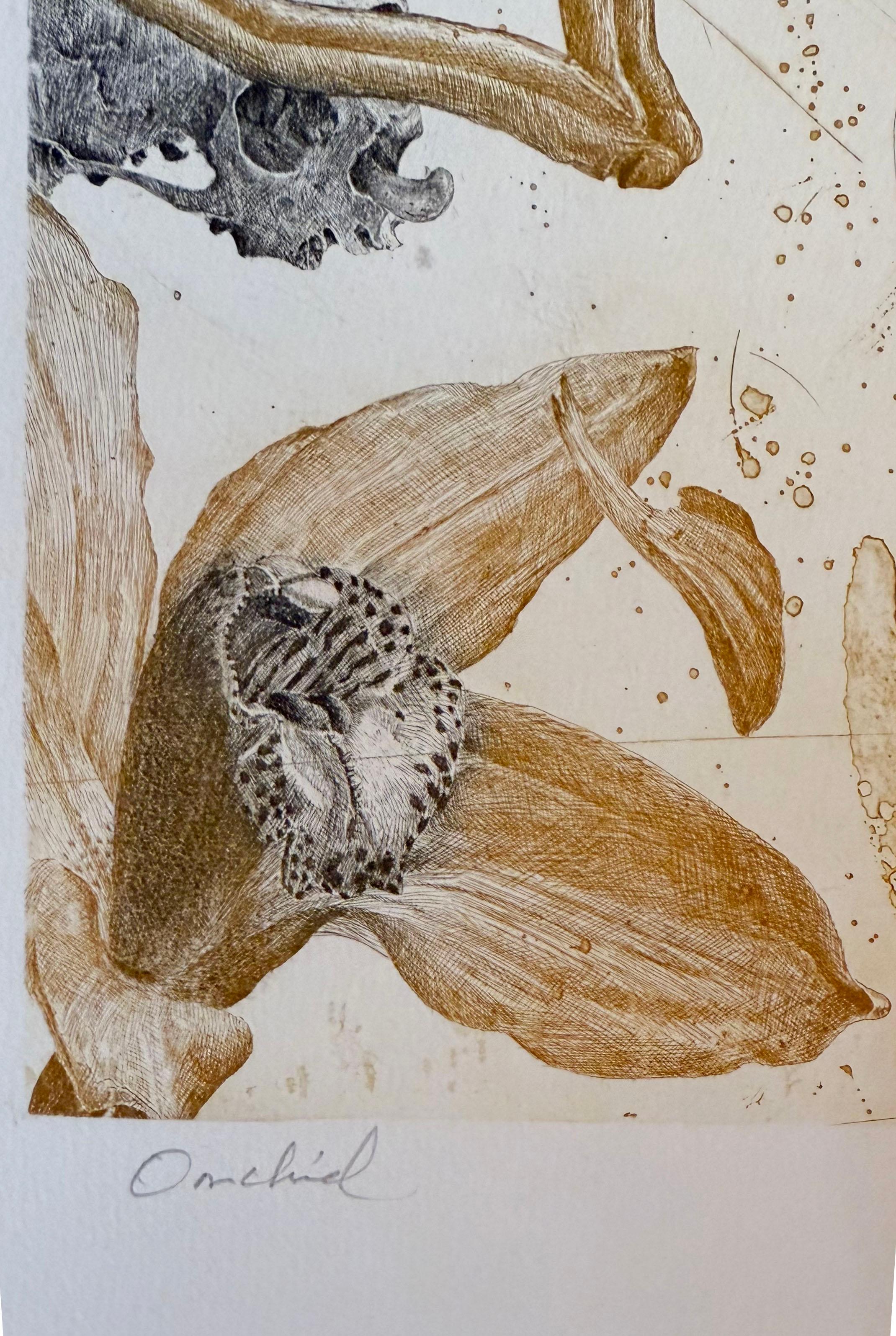 Orchidea - Still-Life Print Beige di Nall