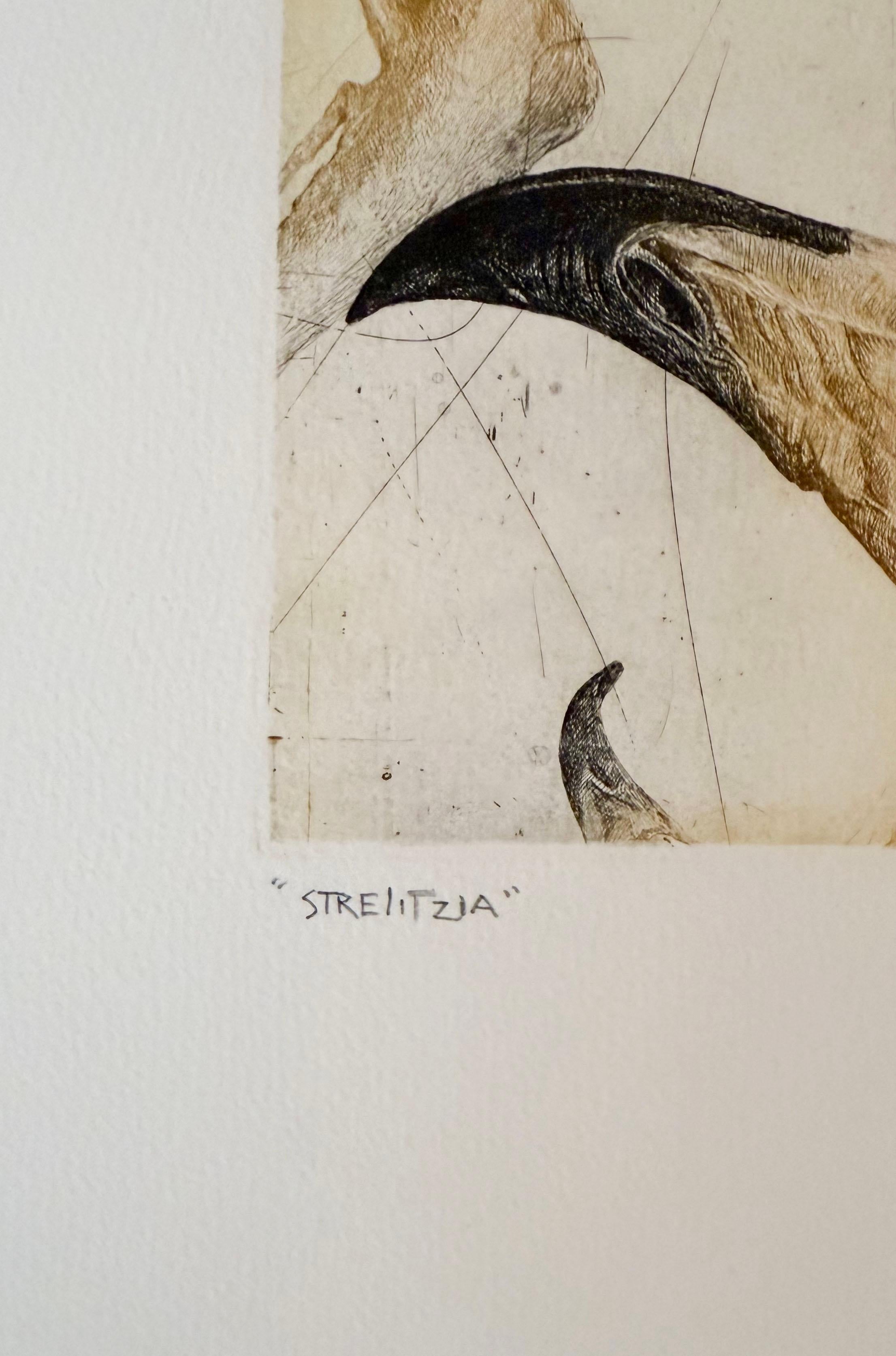 Strelitzia - Still-Life Print Beige di Nall