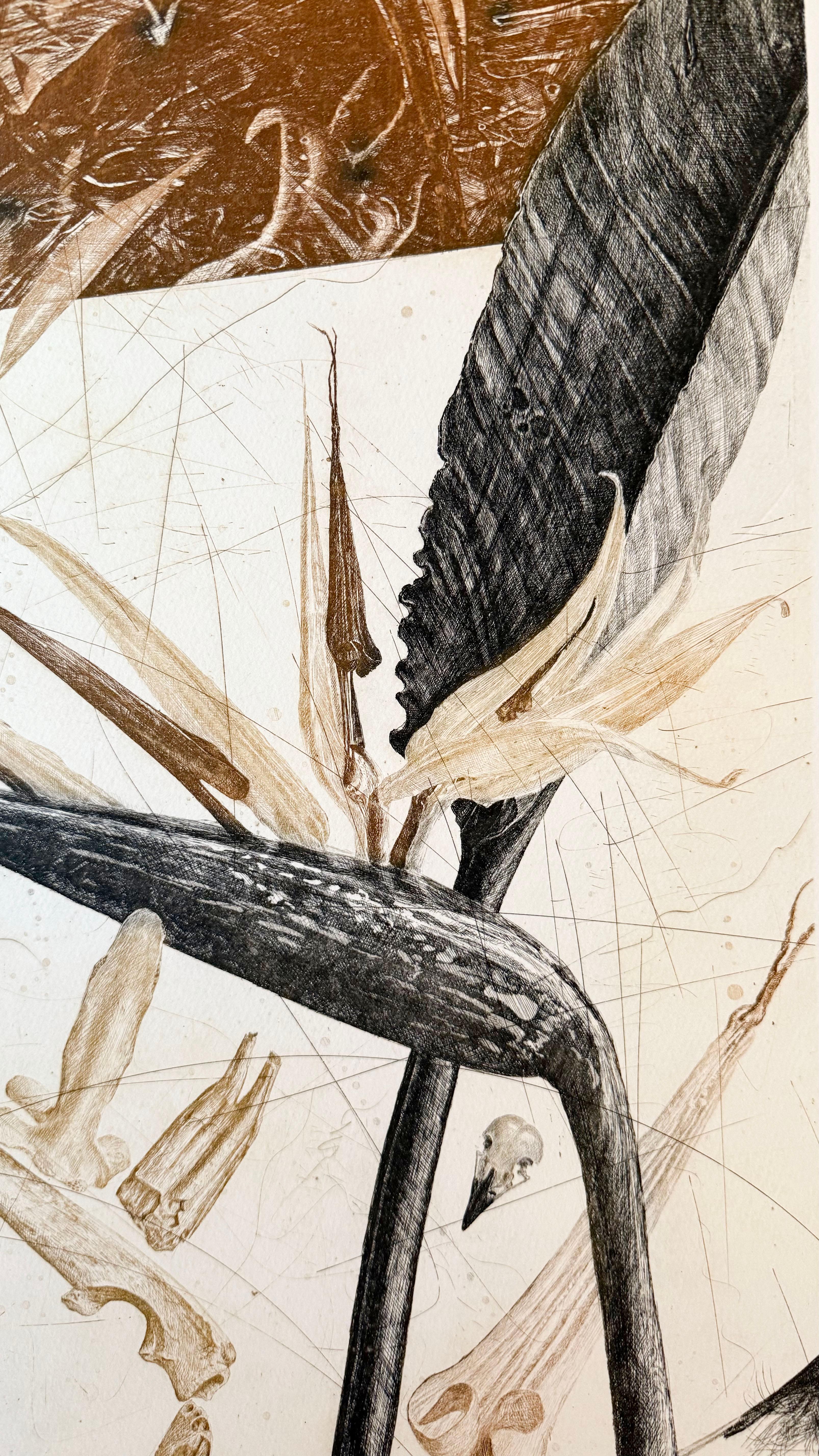 Strelitzia in vendita 1