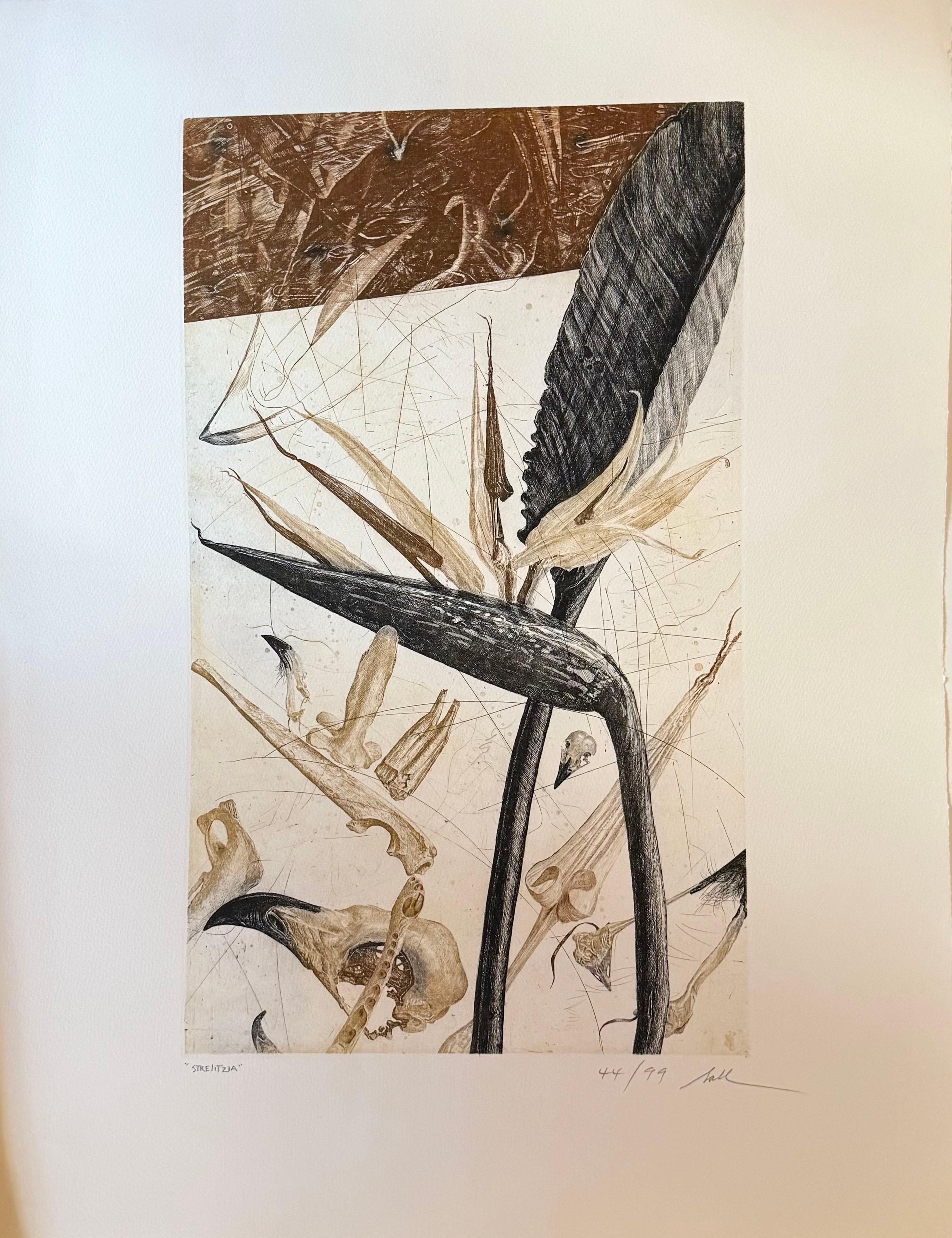 Arte moderna Stampe (natura morta)