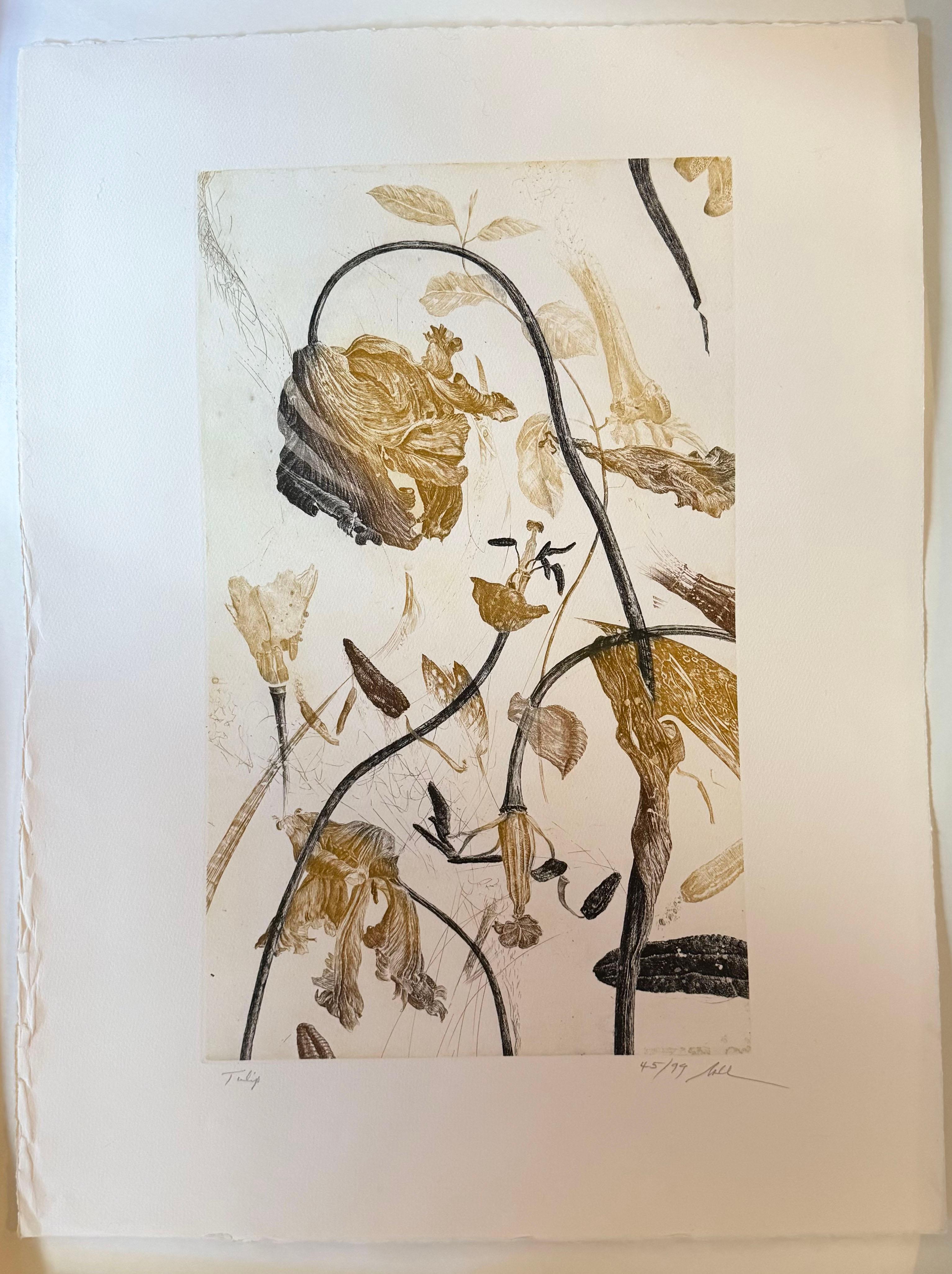 Tulipano - Print di Nall