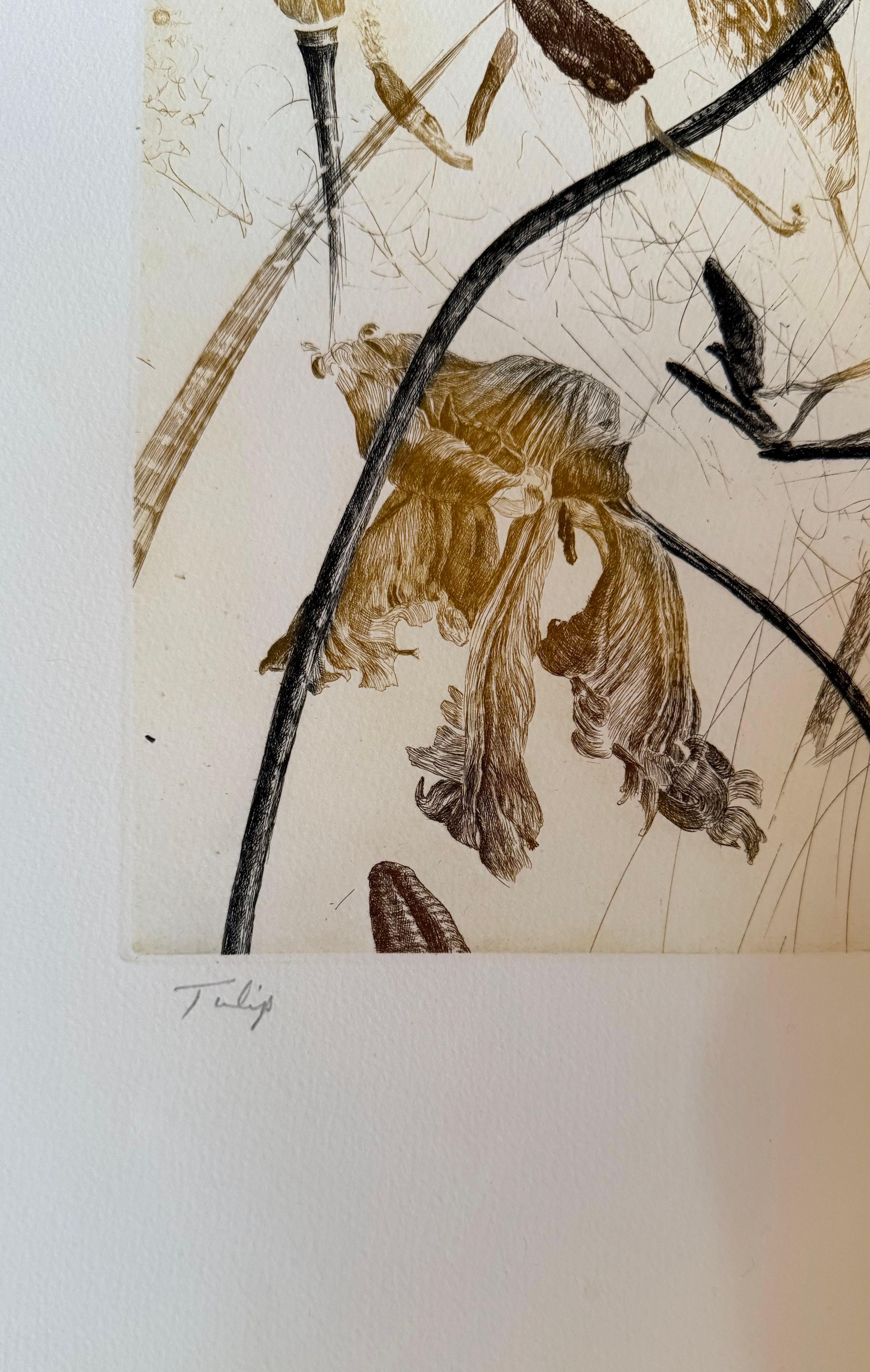 Tulipano - Print Contemporaneo di Nall