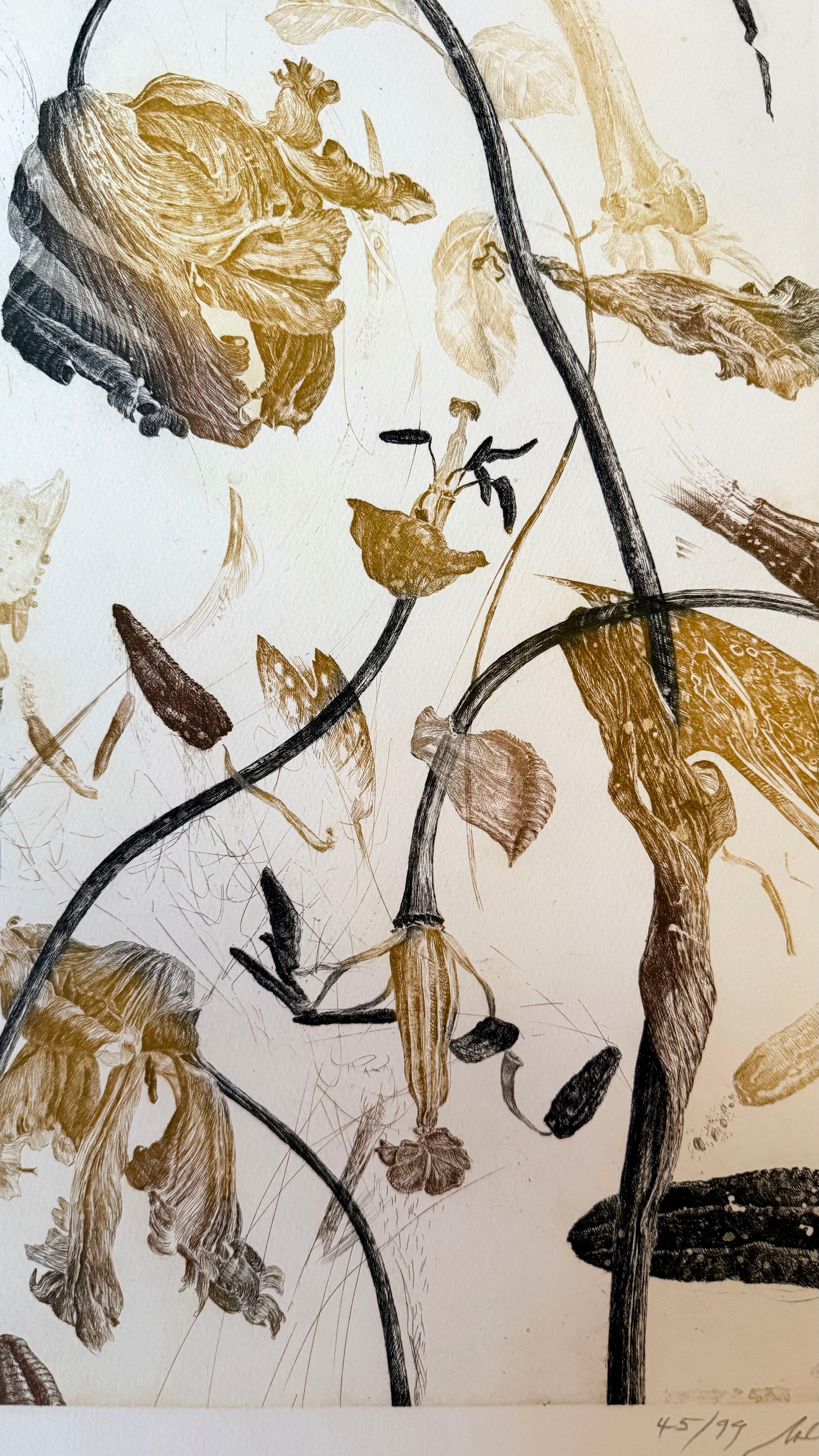 Edizione firmata 45/ 99
Incisione su carta Arches
Dimensioni dell'immagine 19 x 11 1 pollice
Formato carta 26 x 19 1/2 pollici.
