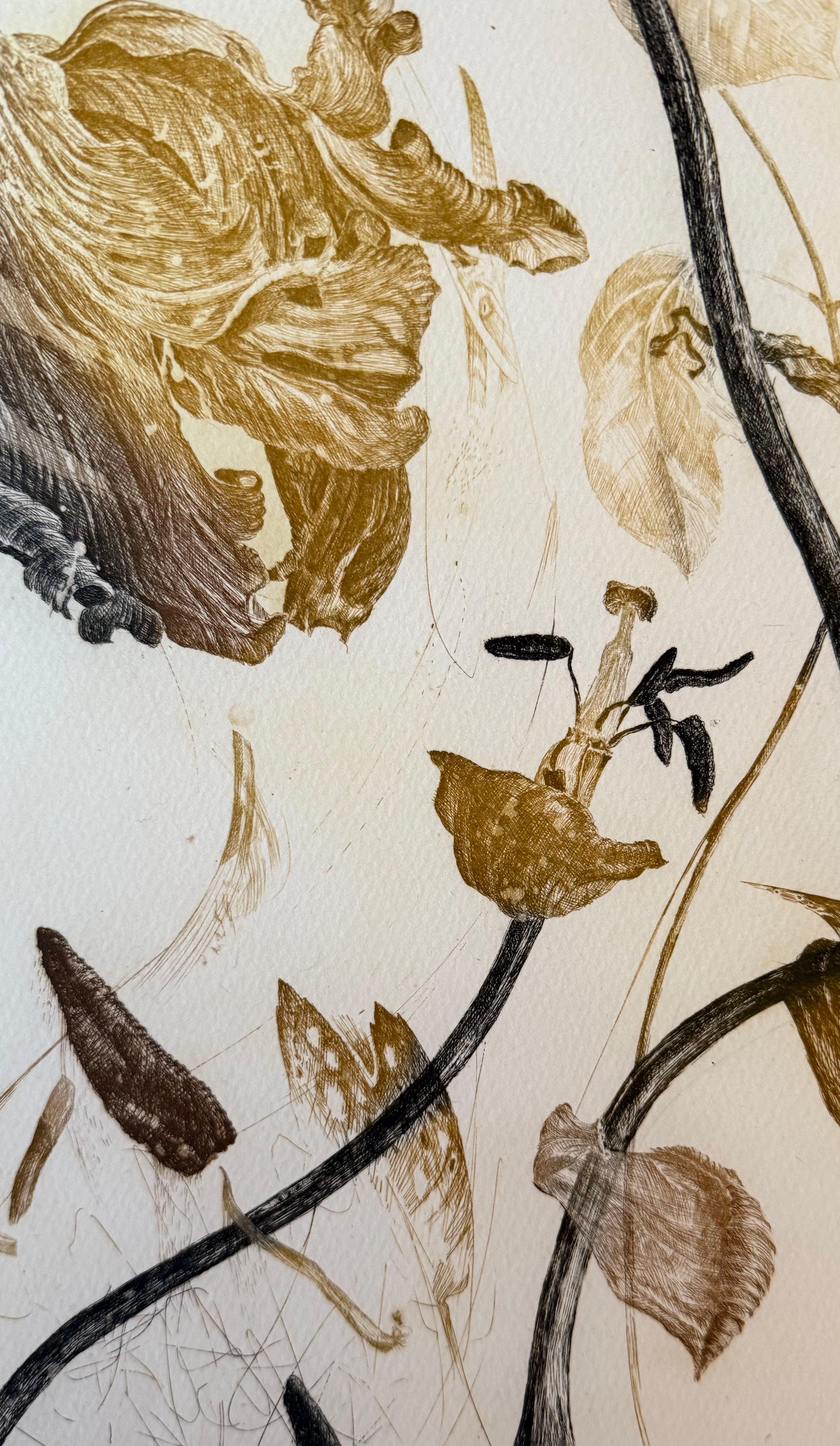 Tulipano in vendita 1