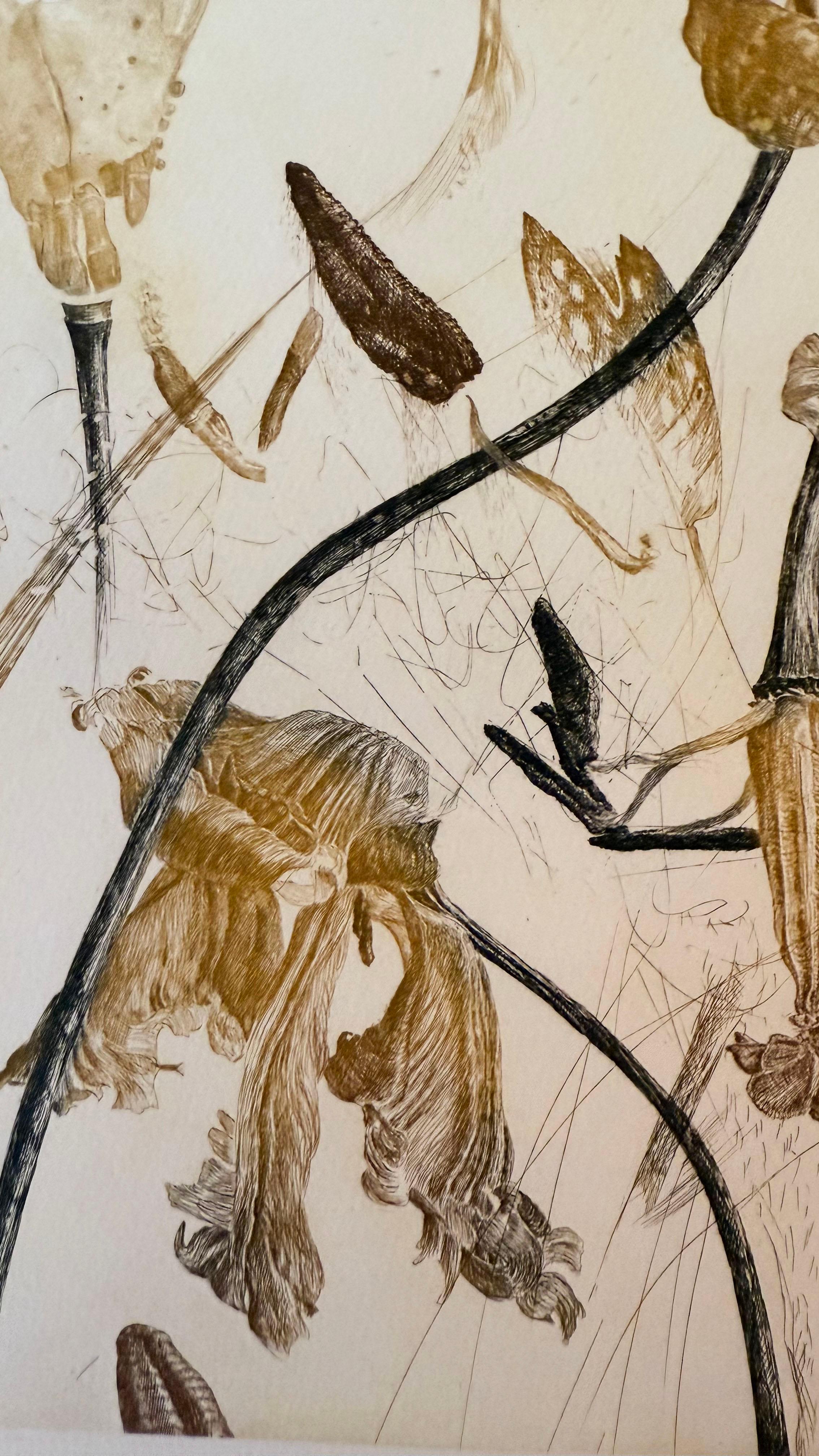 Tulipano in vendita 2