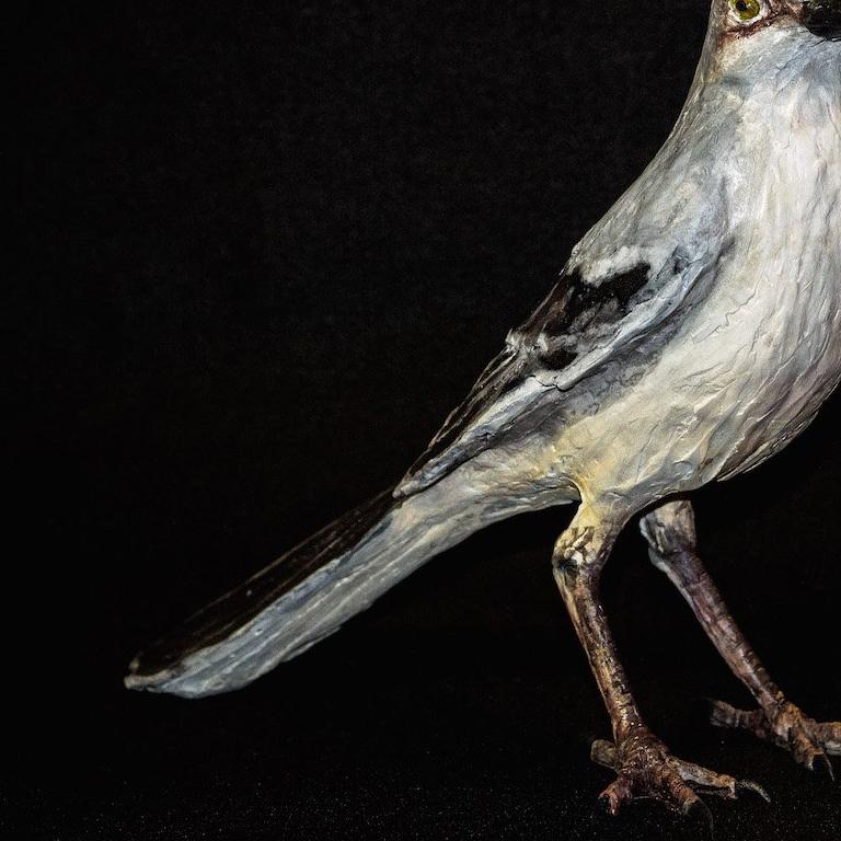Over his extensive career, Nall has garnered both regional and international attention with a sprawling body of work that includes painting, mosaic, sculpture, etching, costume and set design, and porcelain.

A Southern artist from Alabama, Nall