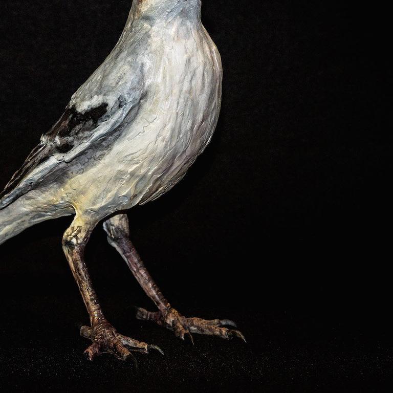 Mockingbird 1