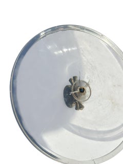 Dai un nome al tuo veleno nel secchiello del ghiaccio in vinile