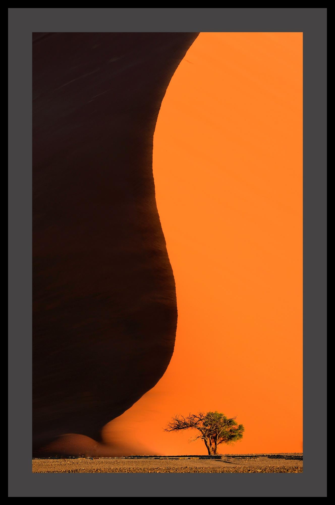 Namib Dünen:: Landschaft:: Farbfotografie:: 2 Kunstdrucke von Rainer Martini (Holz) im Angebot